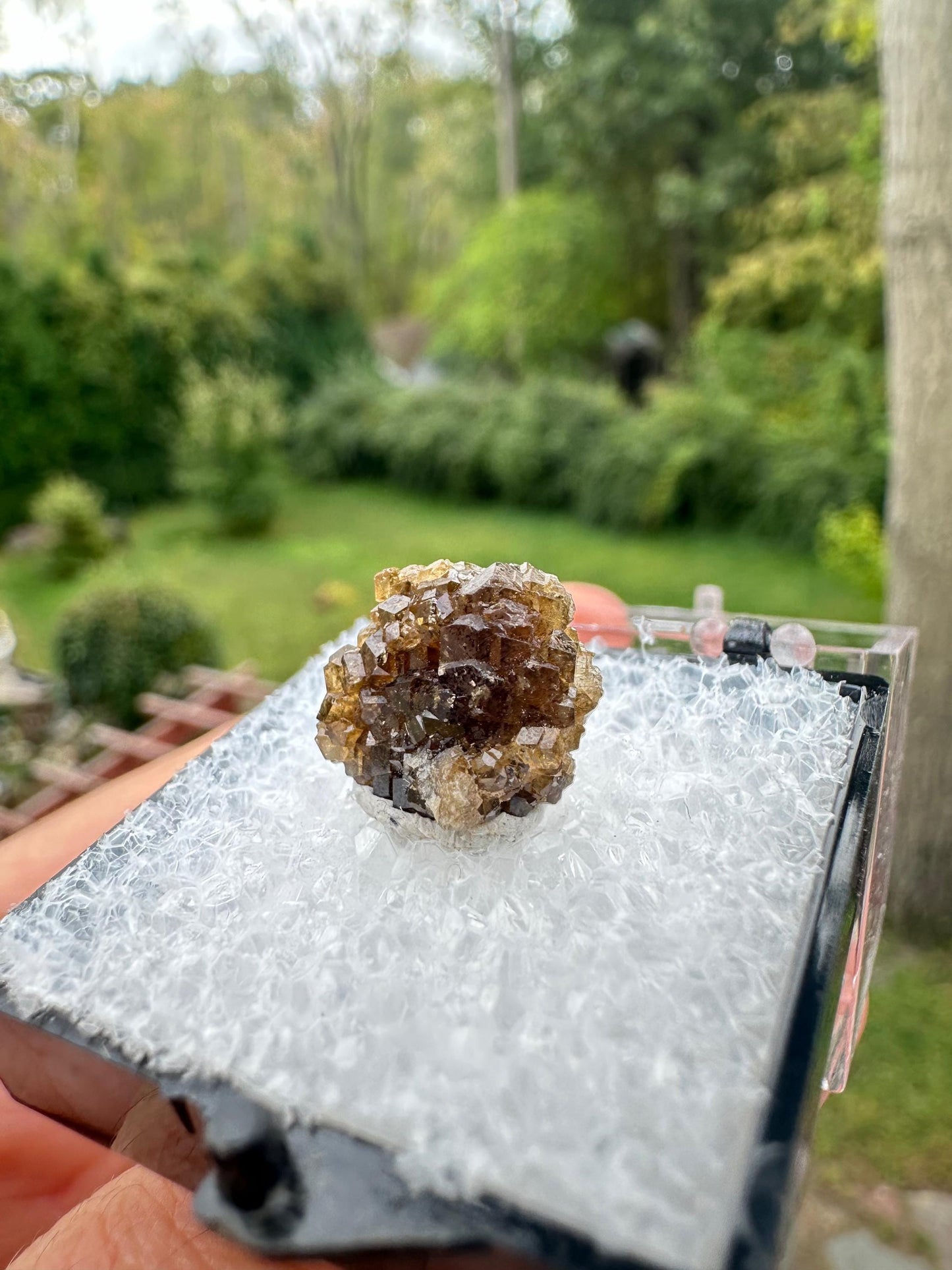 Grossular Garnet Crystals from Vesper Peak Washington USA