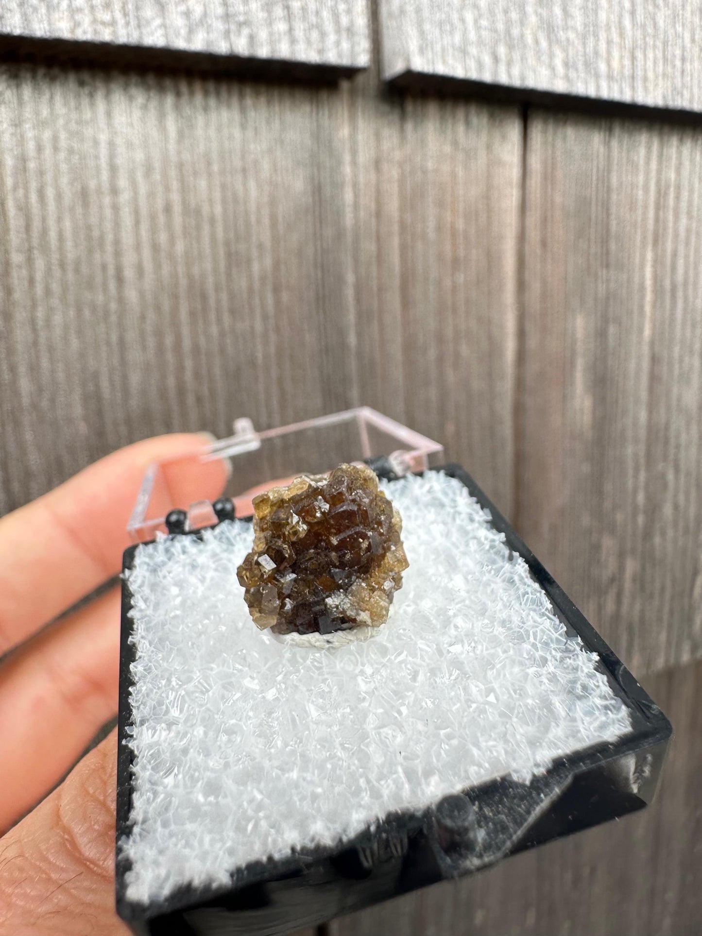 Grossular Garnet Crystals from Vesper Peak Washington USA