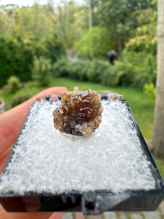 Grossular Garnet Crystals from Vesper Peak Washington USA