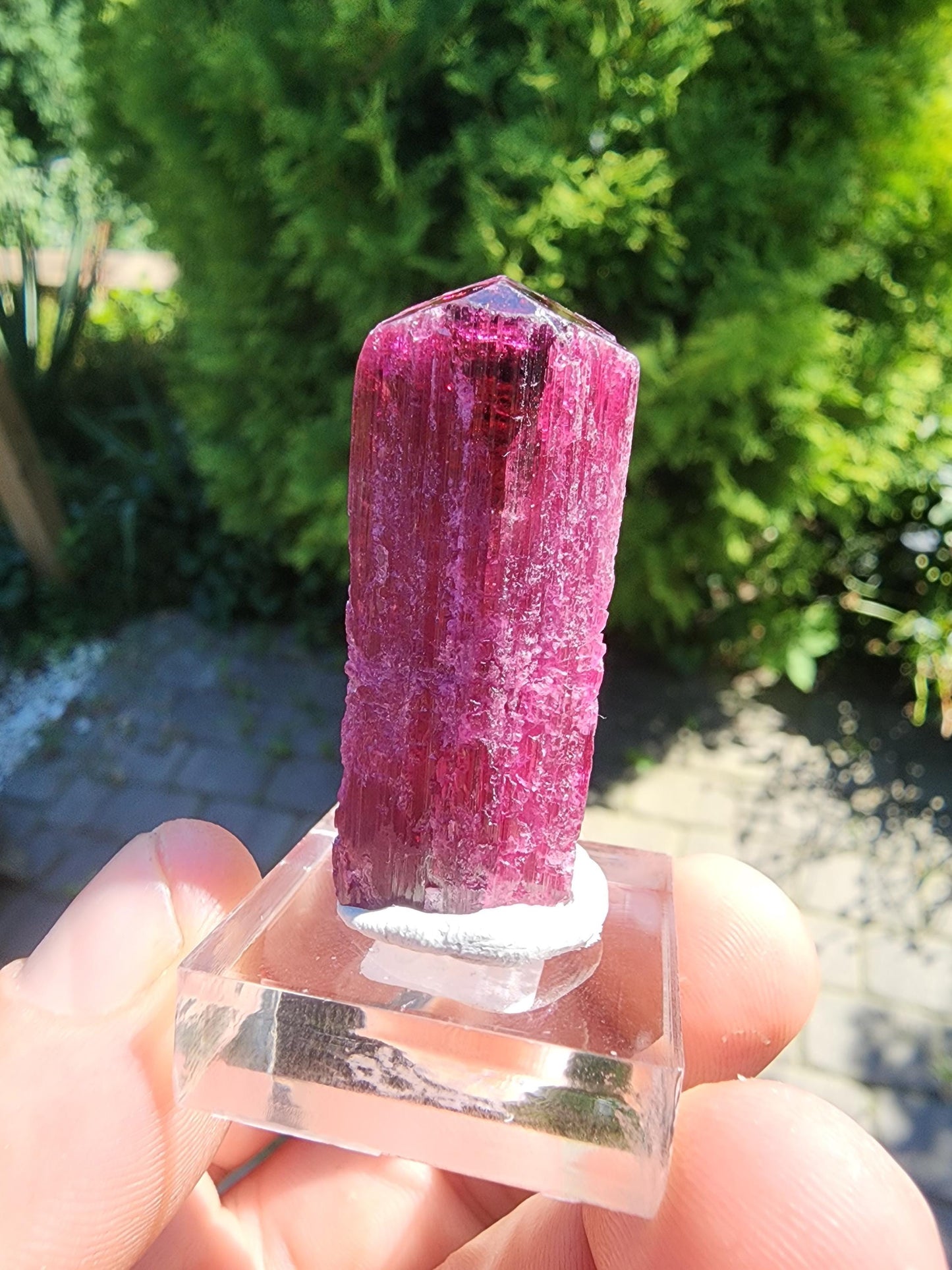 23 Grams Rubellite Tourmaline Crystal from Brazil