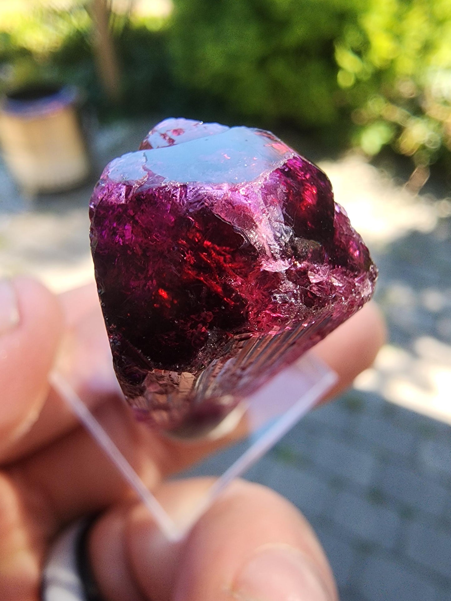 23 Grams Rubellite Tourmaline Crystal from Brazil