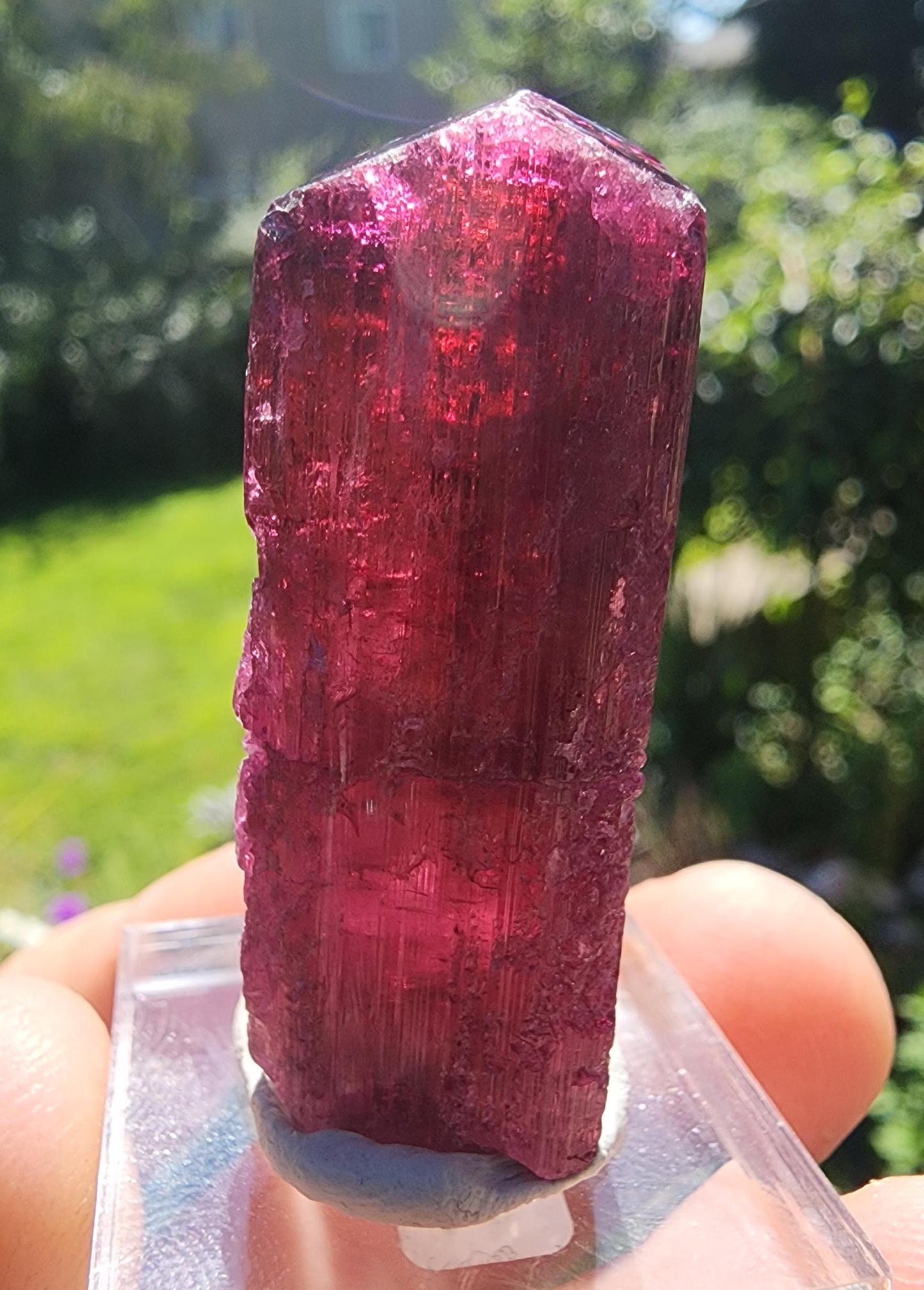 23 Grams Rubellite Tourmaline Crystal from Brazil