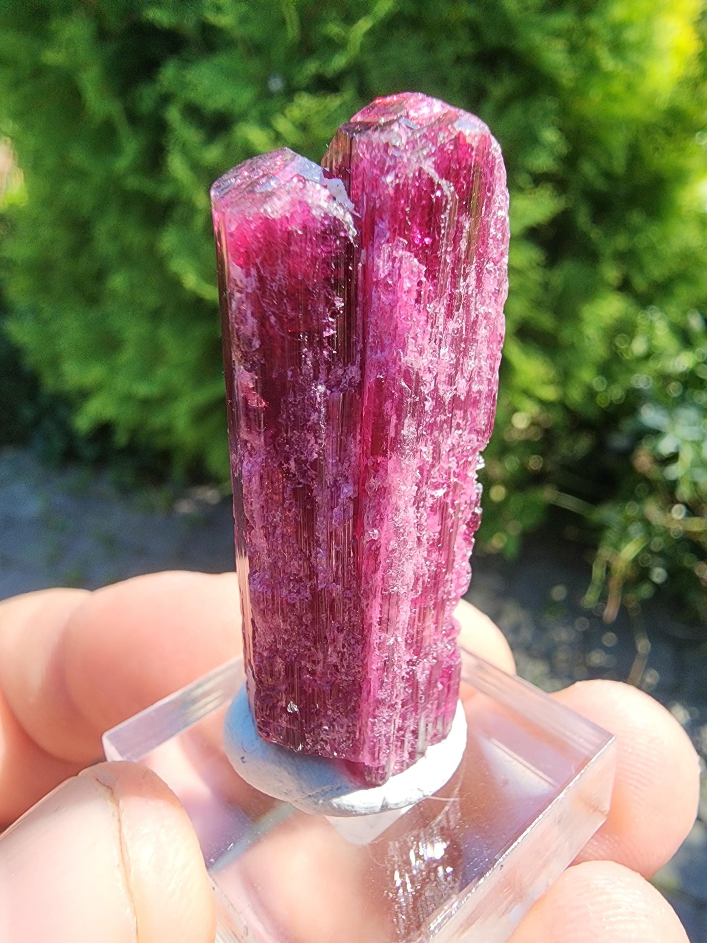 26 Grams Rubellite Tourmaline Crystal from Brazil