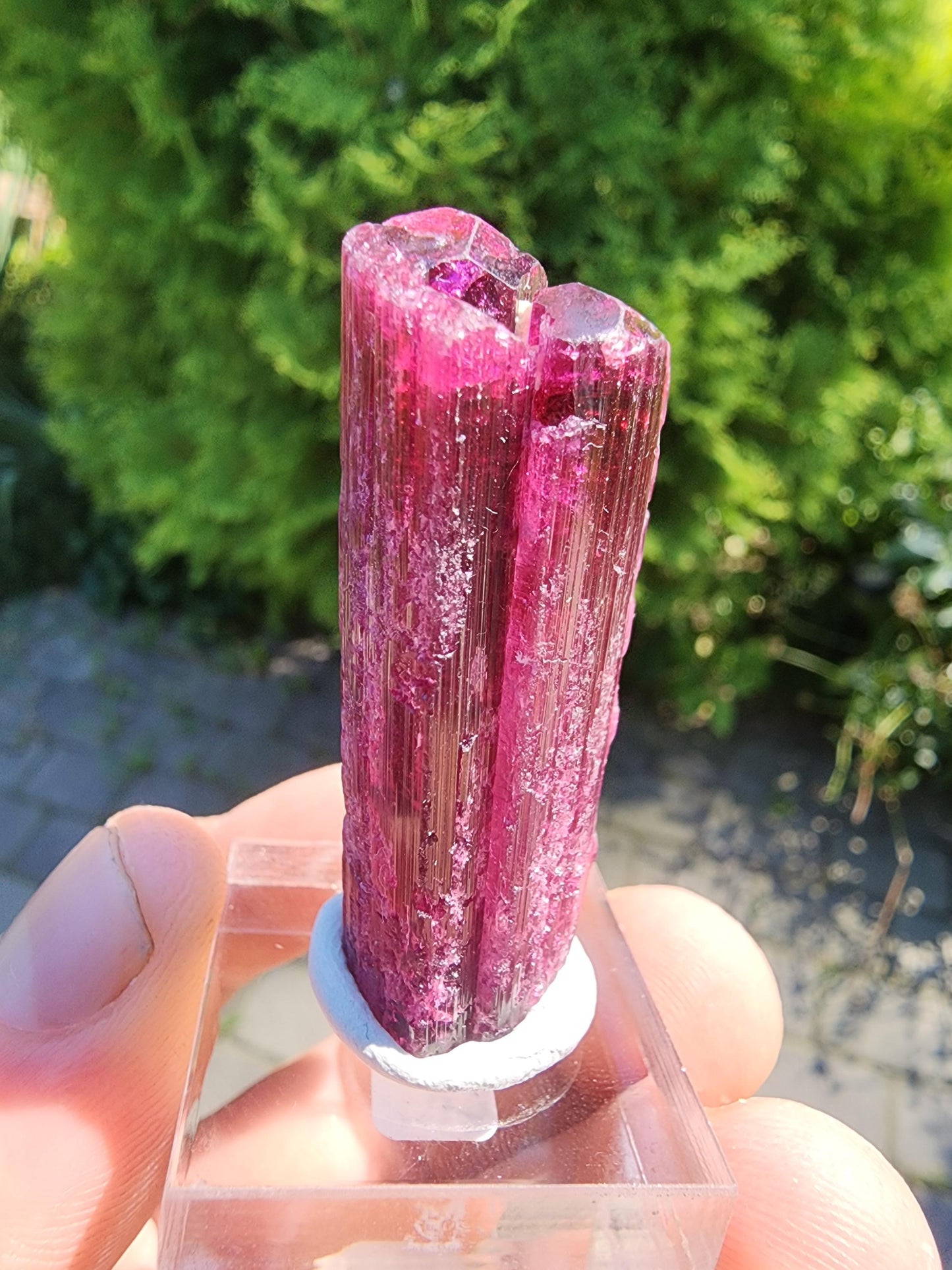 26 Grams Rubellite Tourmaline Crystal from Brazil