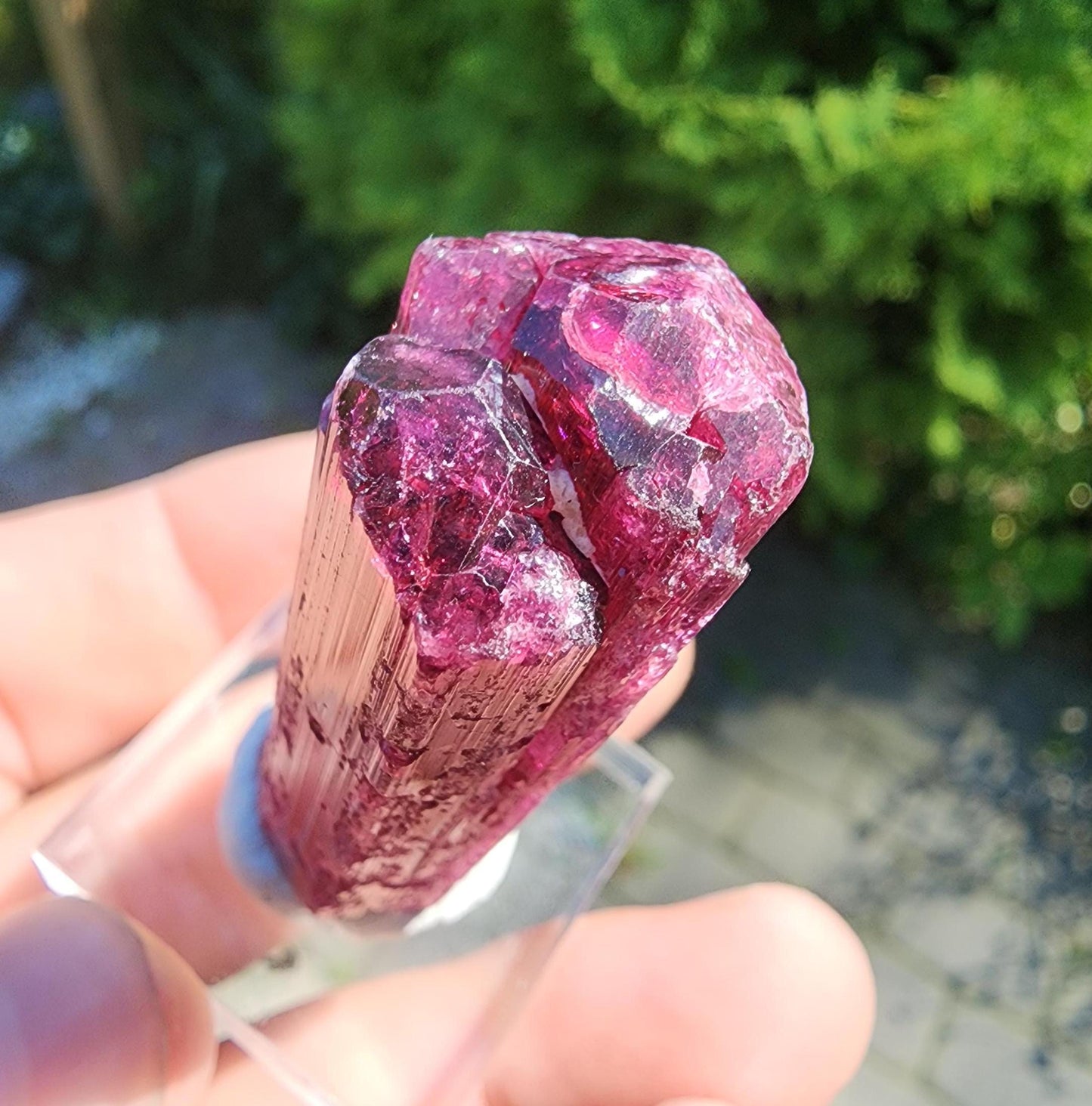 26 Grams Rubellite Tourmaline Crystal from Brazil