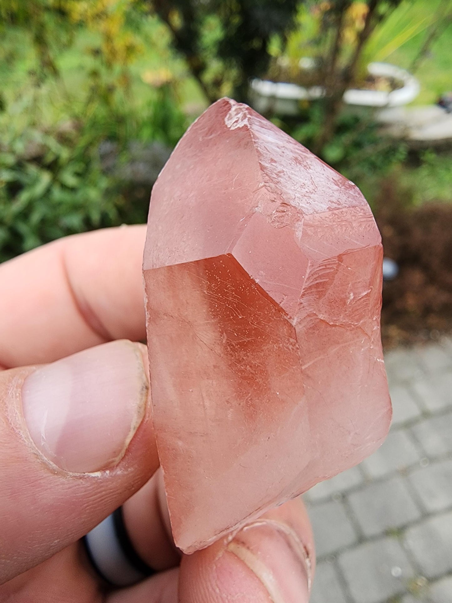 Quartz var. Pink Lemurian Crystal from Brazil