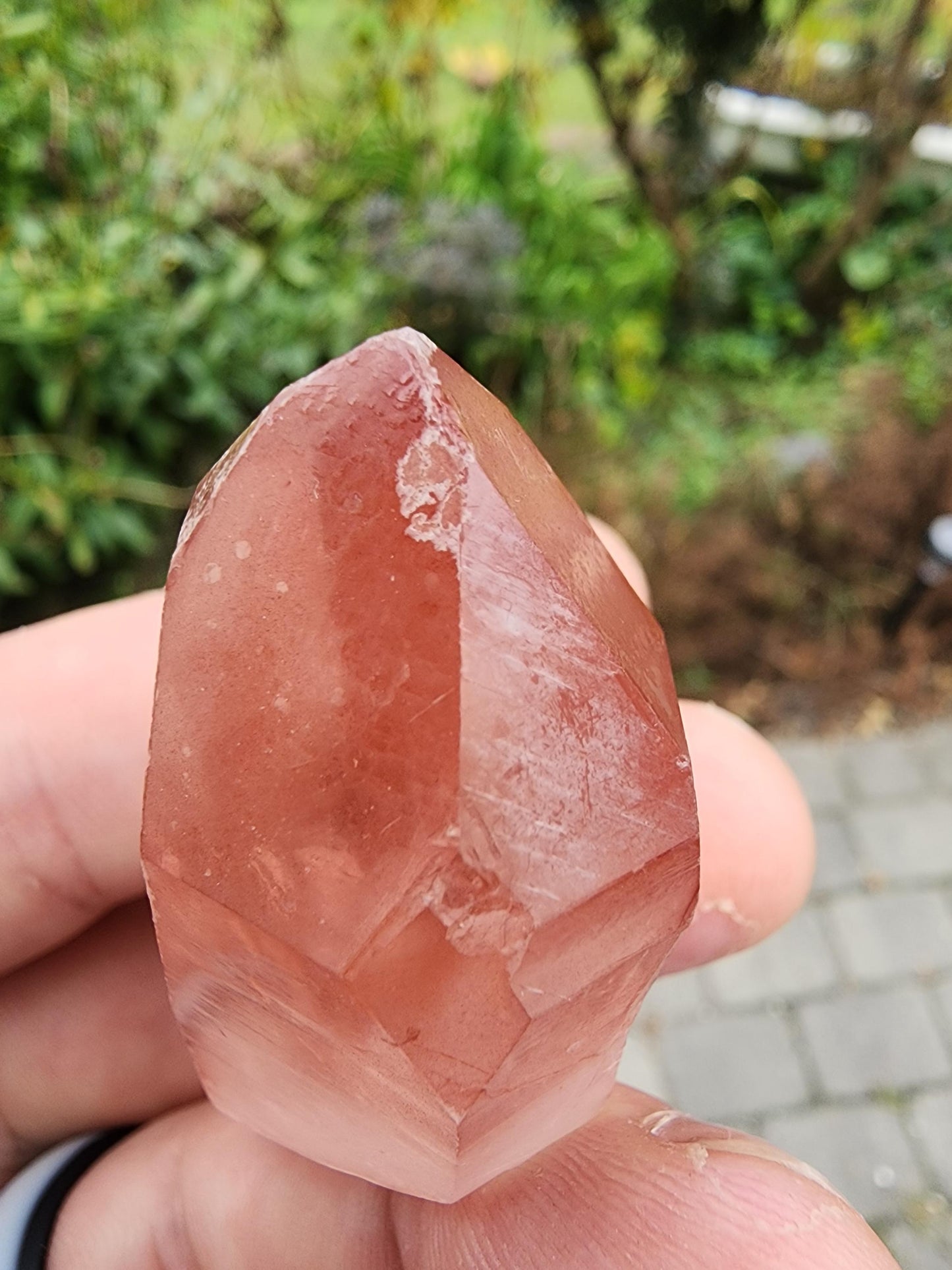 Quartz var. Pink Lemurian Crystal from Brazil