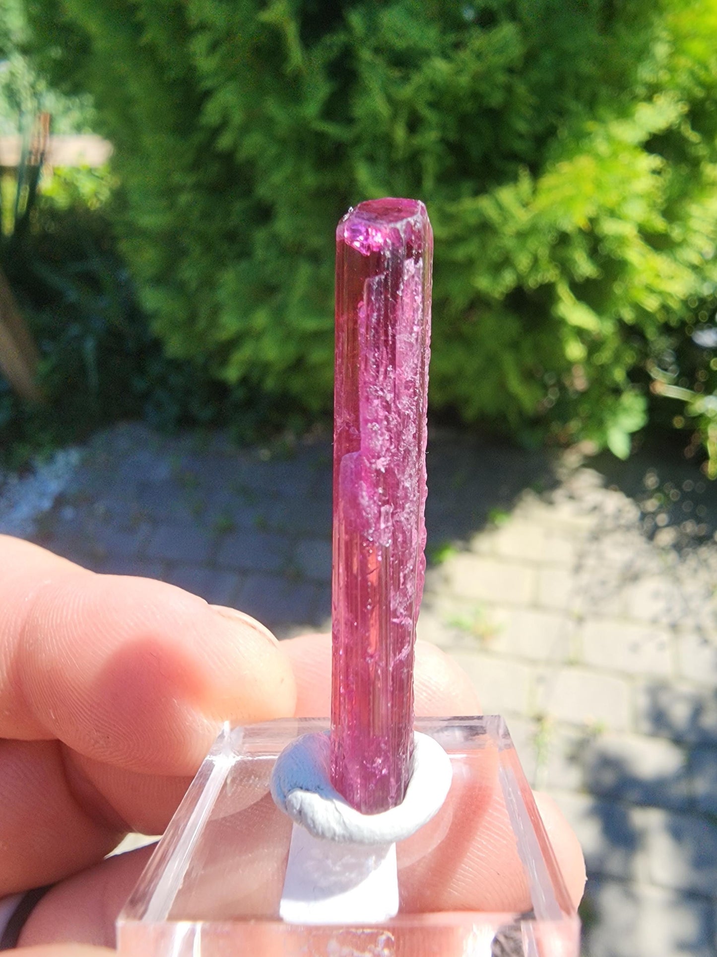 6 Grams Rubellite Tourmaline Crystal from Brazil