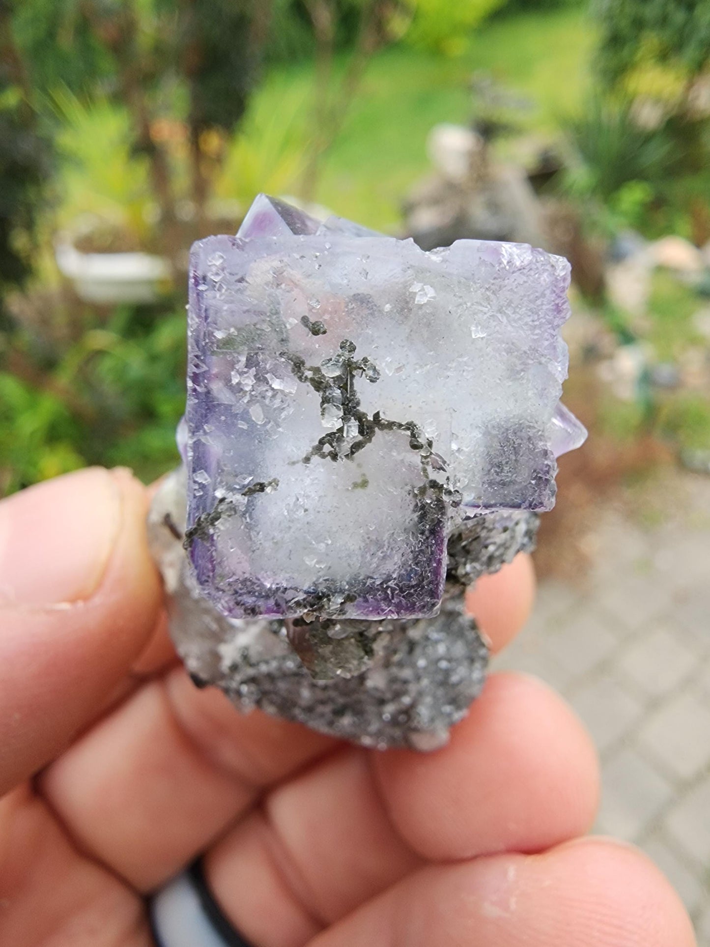 YGX Phantom Fluorite Cluster from China