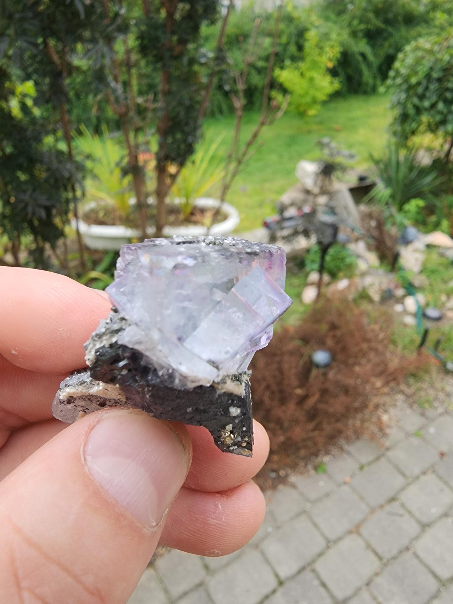 YGX Phantom Fluorite Cluster from China