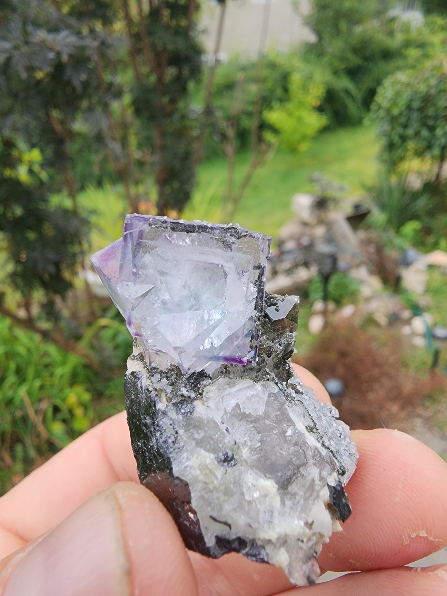 YGX Phantom Fluorite Cluster from China