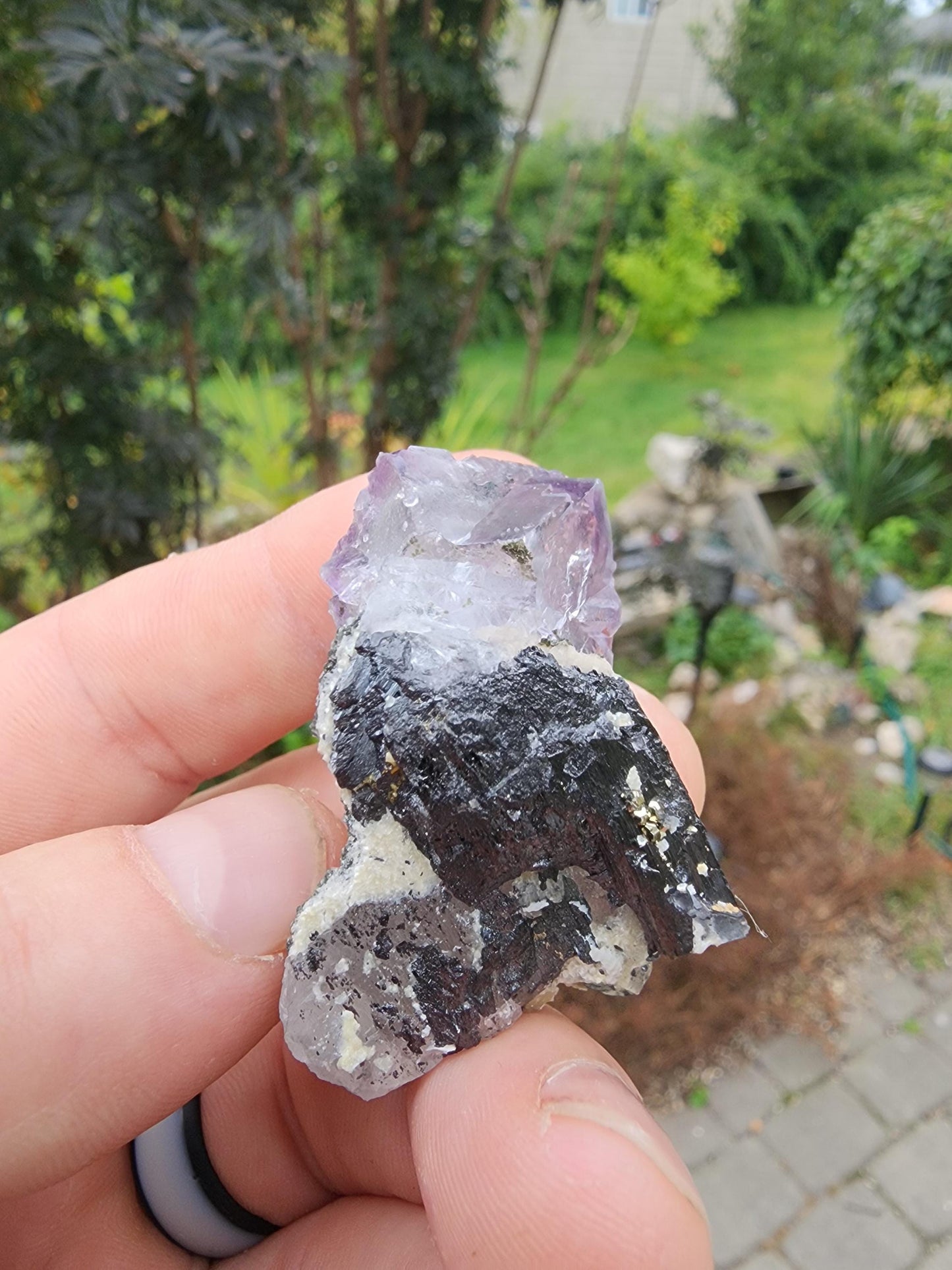 YGX Phantom Fluorite Cluster from China