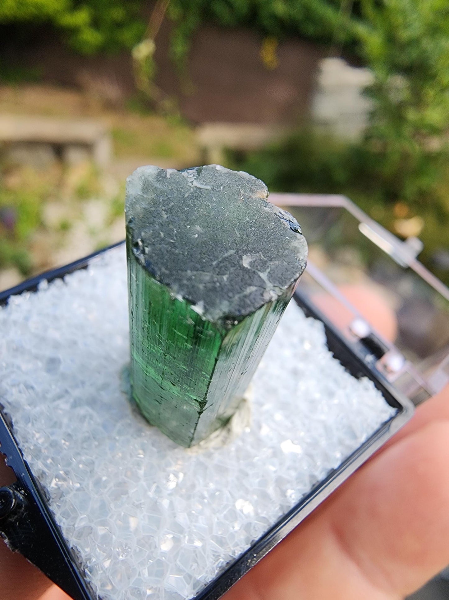 6 Grams Elbaite Tourmaline Crystal from Brazil
