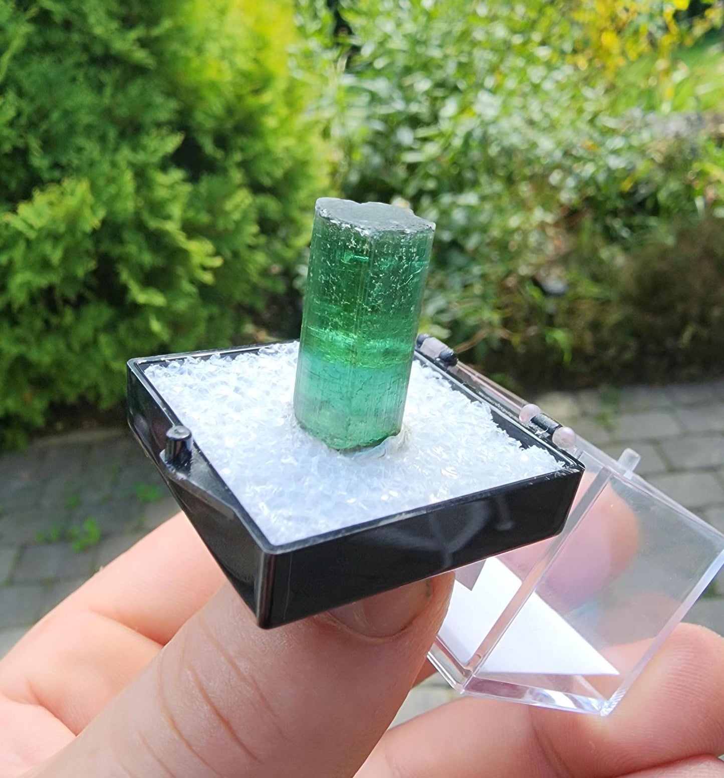 6 Grams Elbaite Tourmaline Crystal from Brazil
