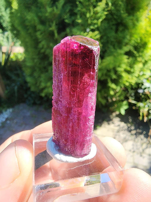23 Grams Rubellite Tourmaline Crystal from Brazil