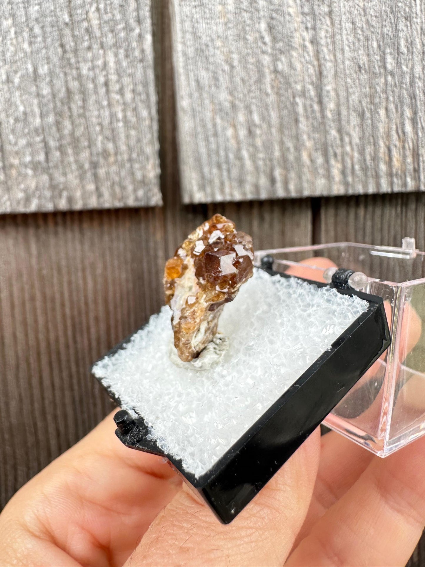 Grossular Garnet Crystals on Matrix from Vesper Peak Washington USA
