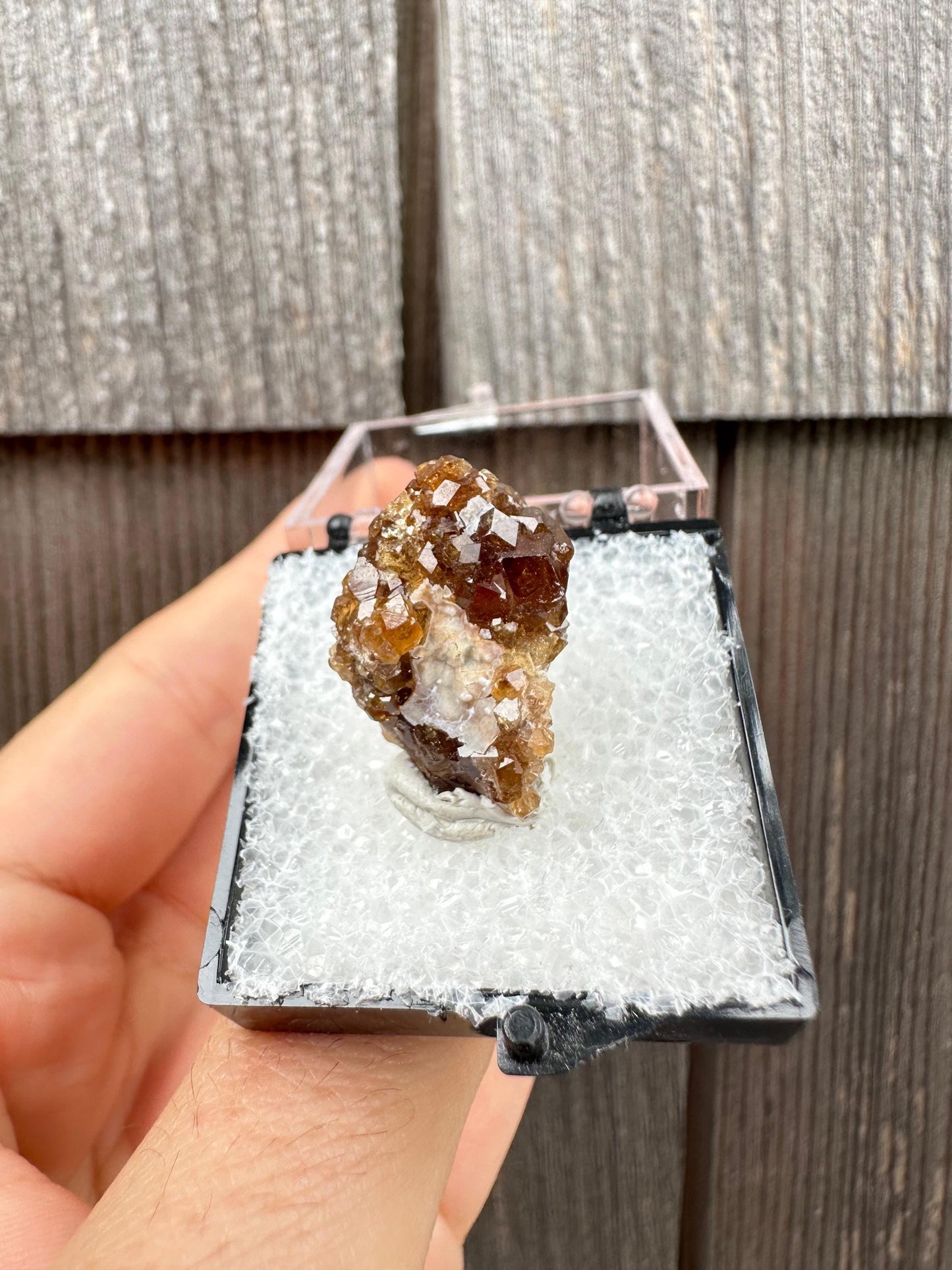 Grossular Garnet Crystals on Matrix from Vesper Peak Washington USA