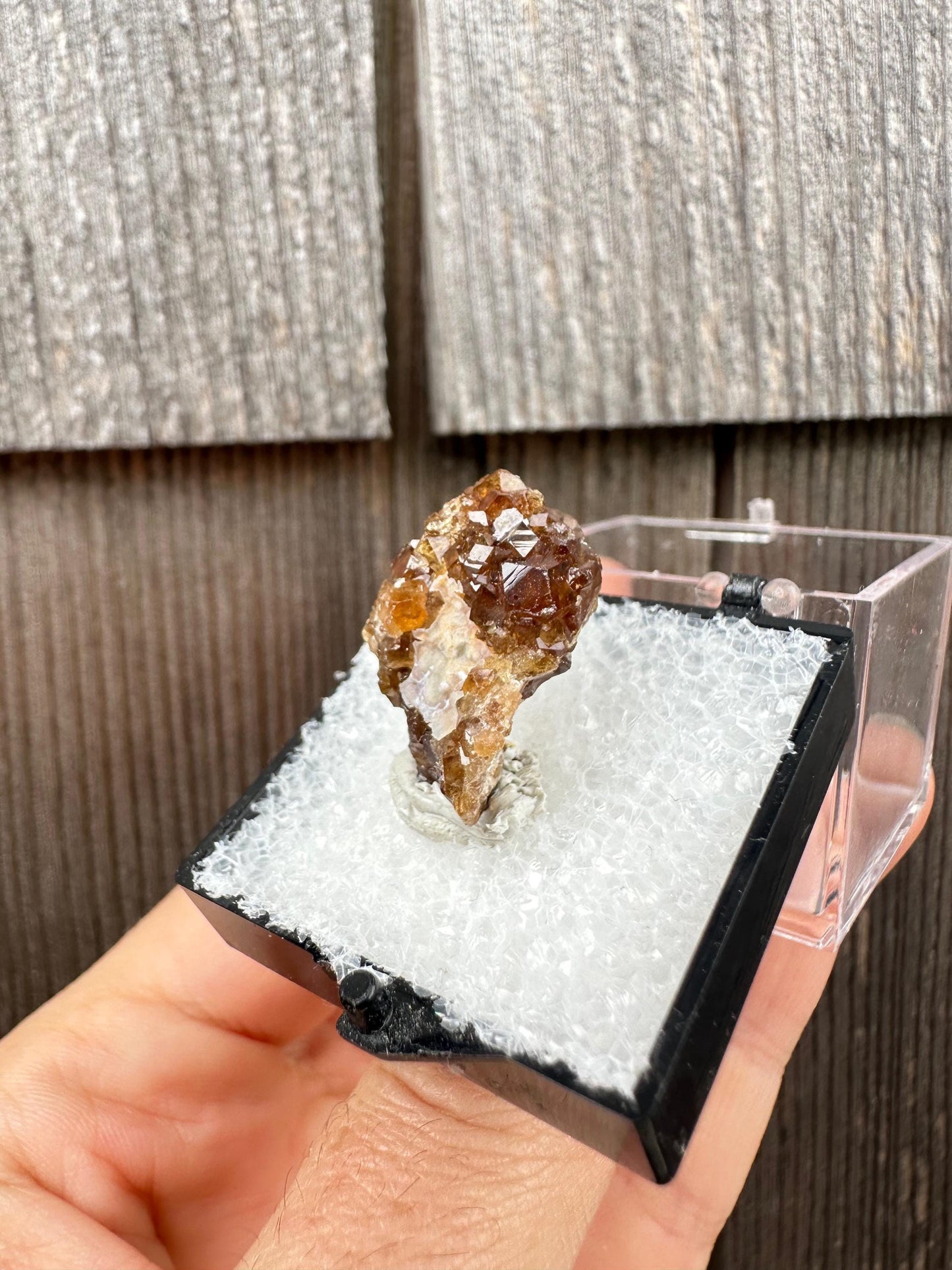Grossular Garnet Crystals on Matrix from Vesper Peak Washington USA