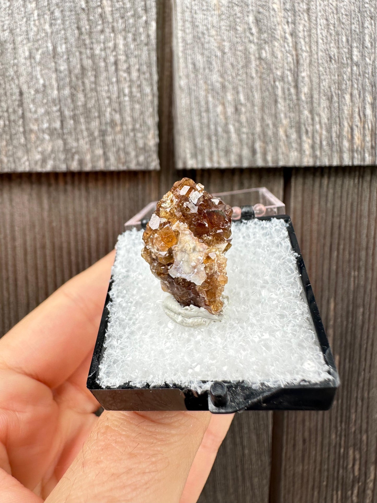 Grossular Garnet Crystals on Matrix from Vesper Peak Washington USA