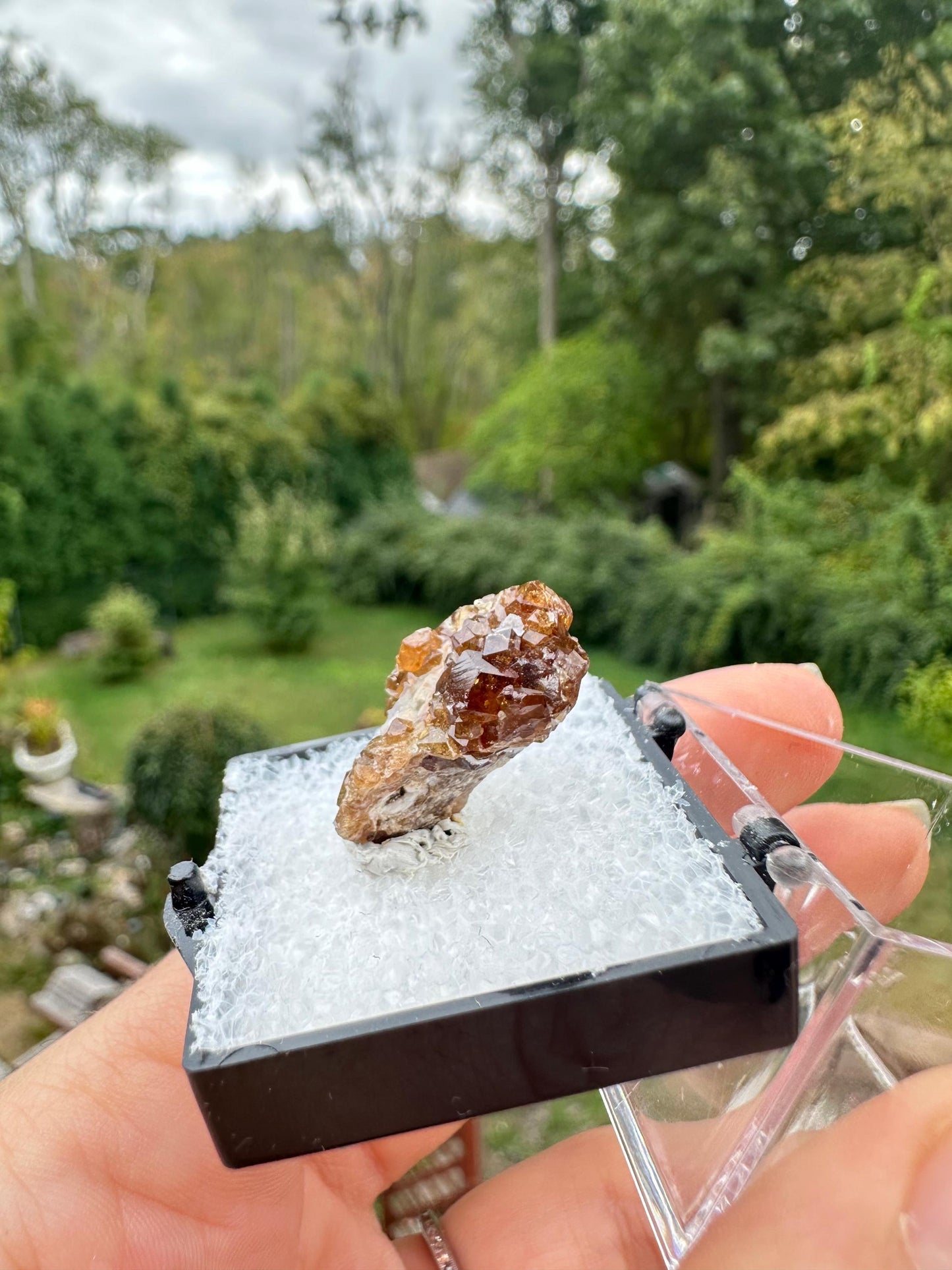 Grossular Garnet Crystals on Matrix from Vesper Peak Washington USA