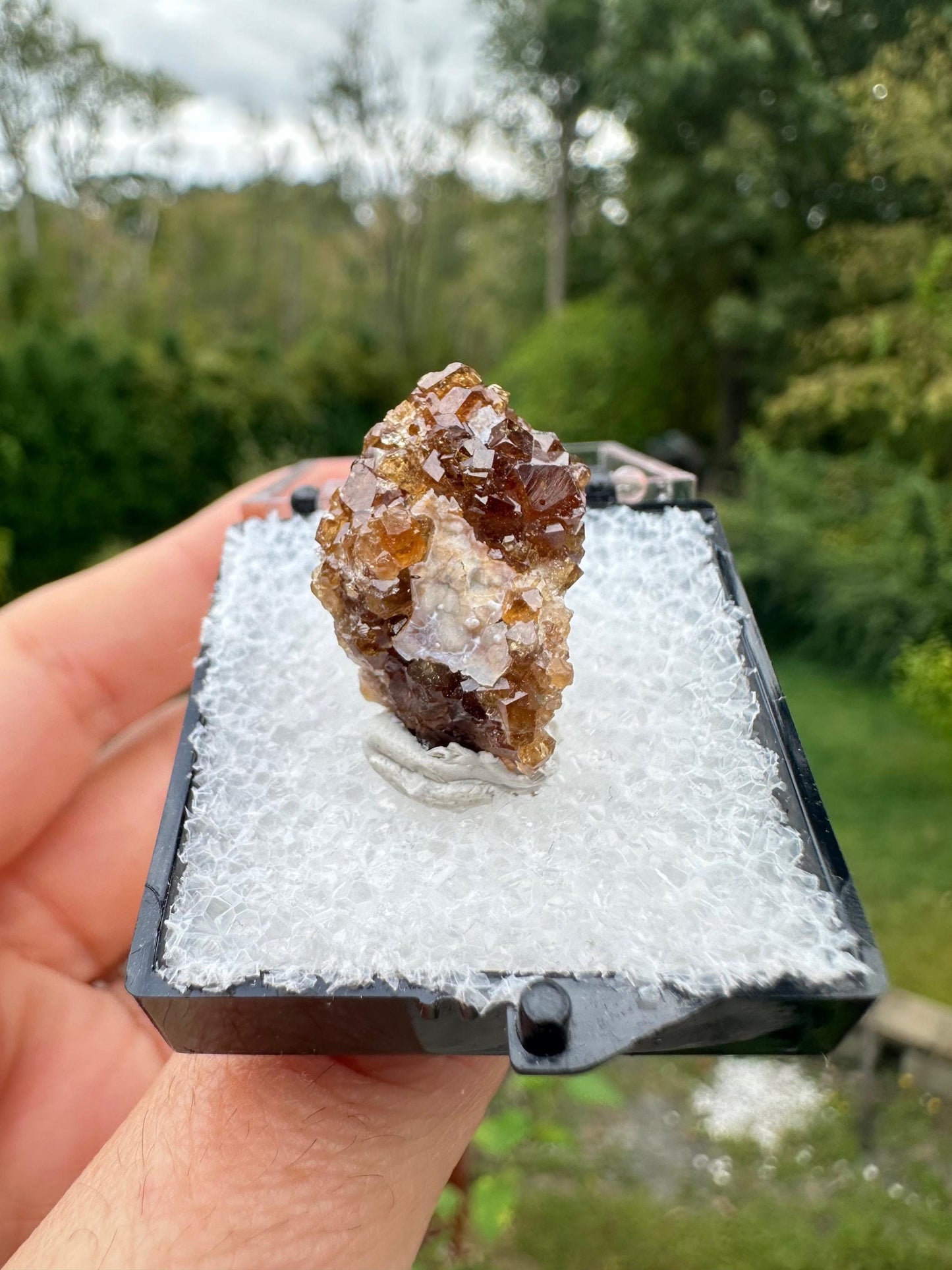 Grossular Garnet Crystals on Matrix from Vesper Peak Washington USA