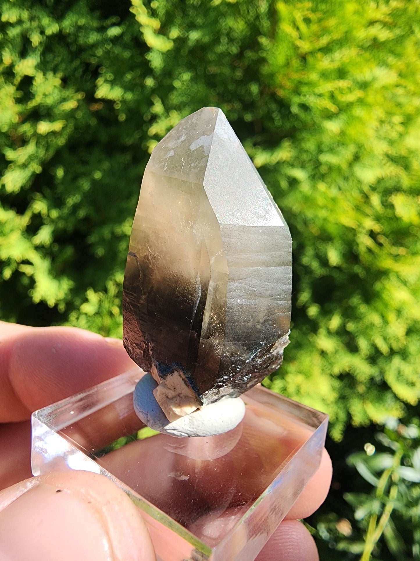 Smoky Quartz Crystal from Erongo, Namibia