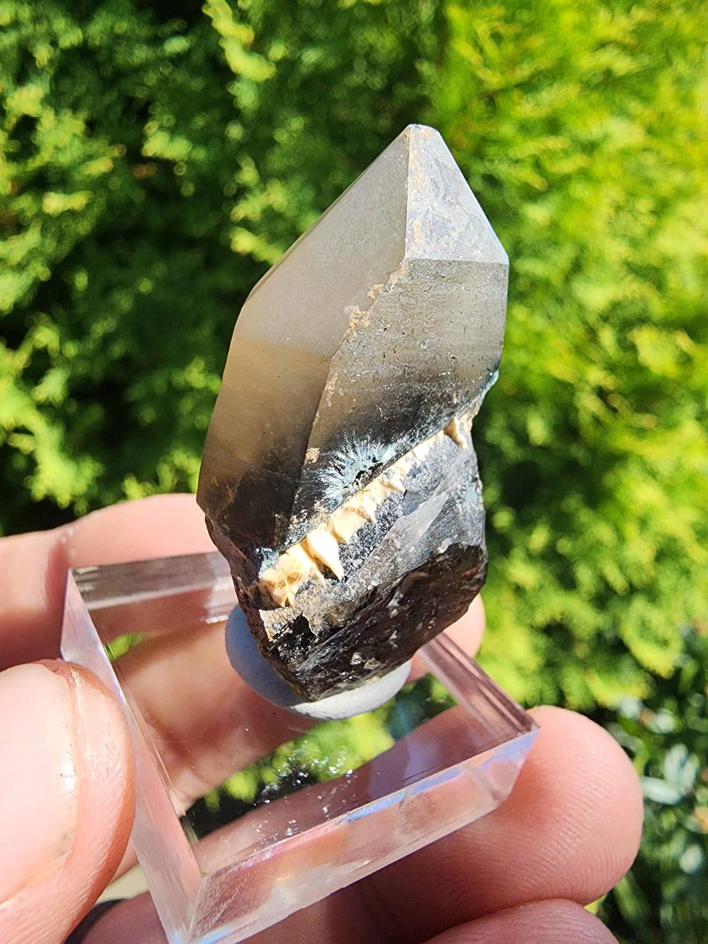 Smoky Quartz Crystal from Erongo, Namibia