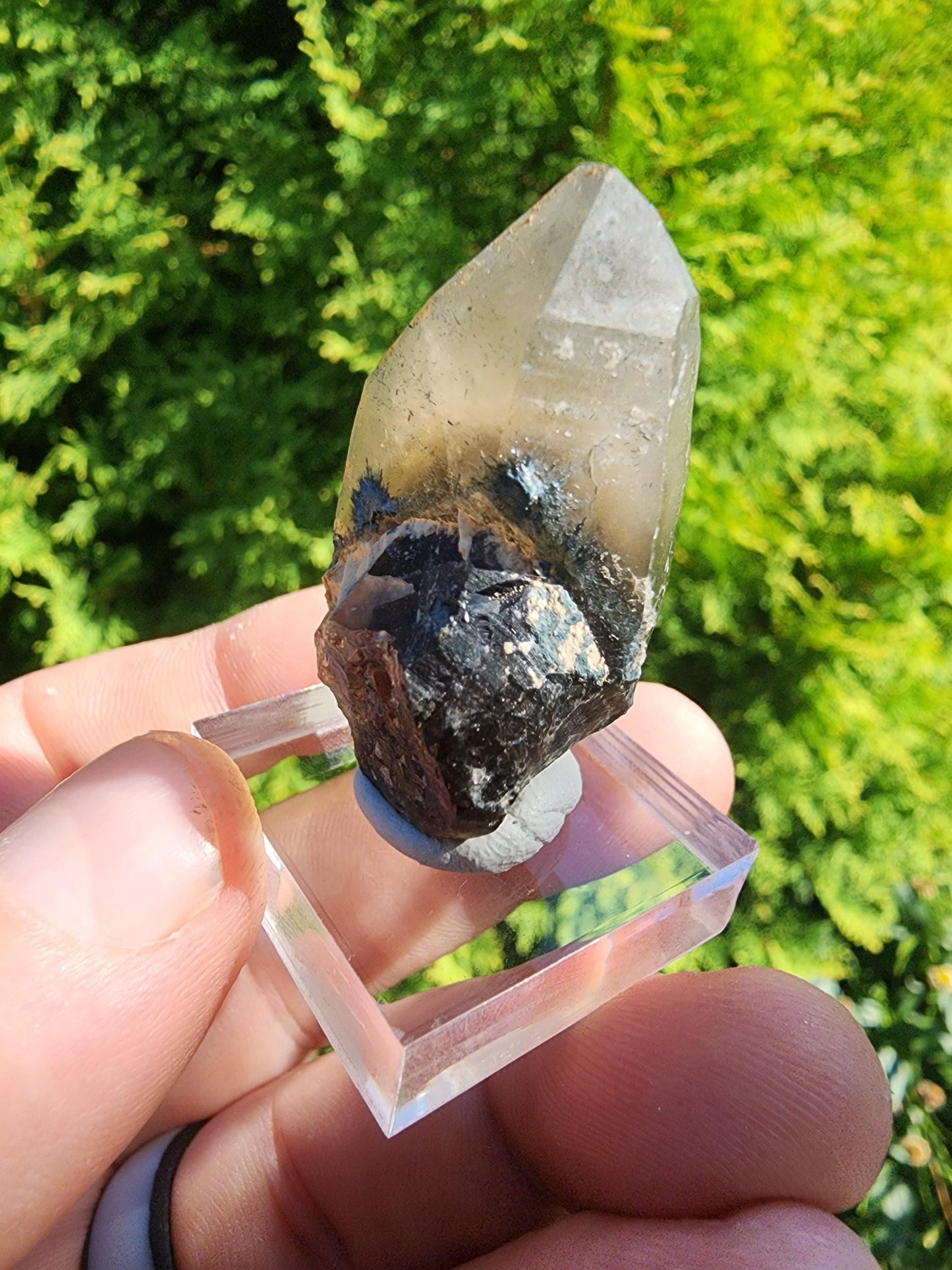 Smoky Quartz Crystal from Erongo, Namibia