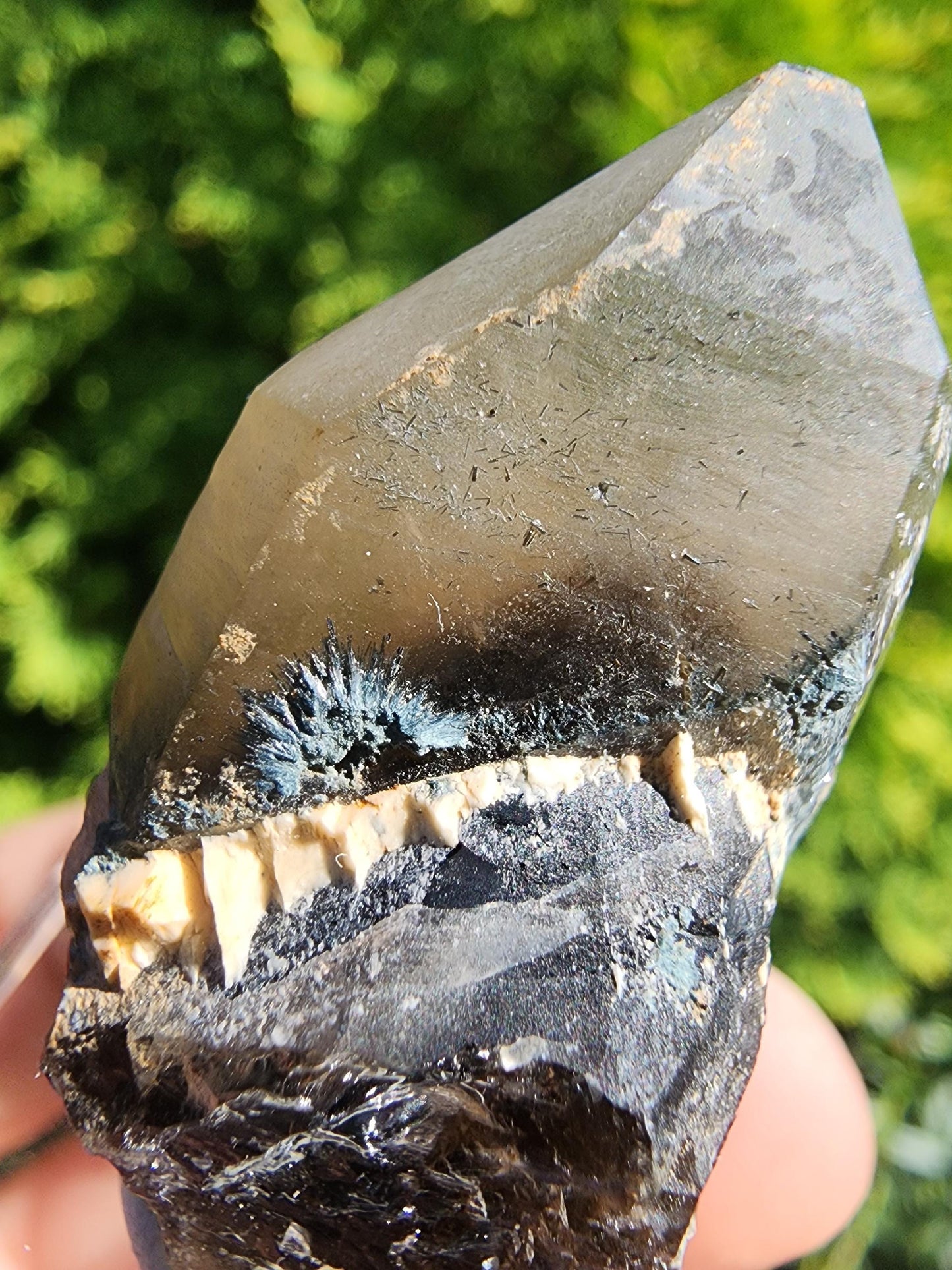 Smoky Quartz Crystal from Erongo, Namibia