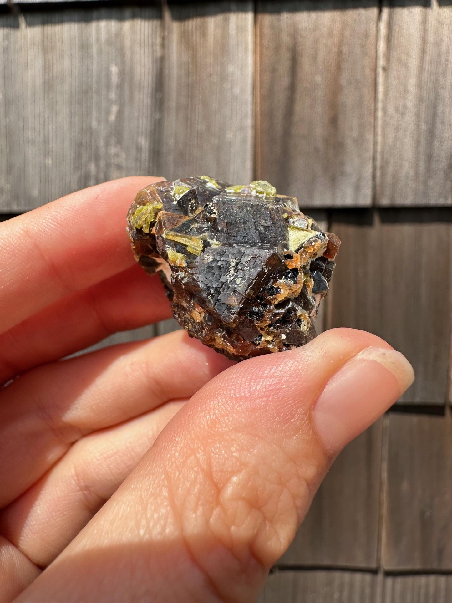 Etched Garnet Cluster with Epidote from Pakistan