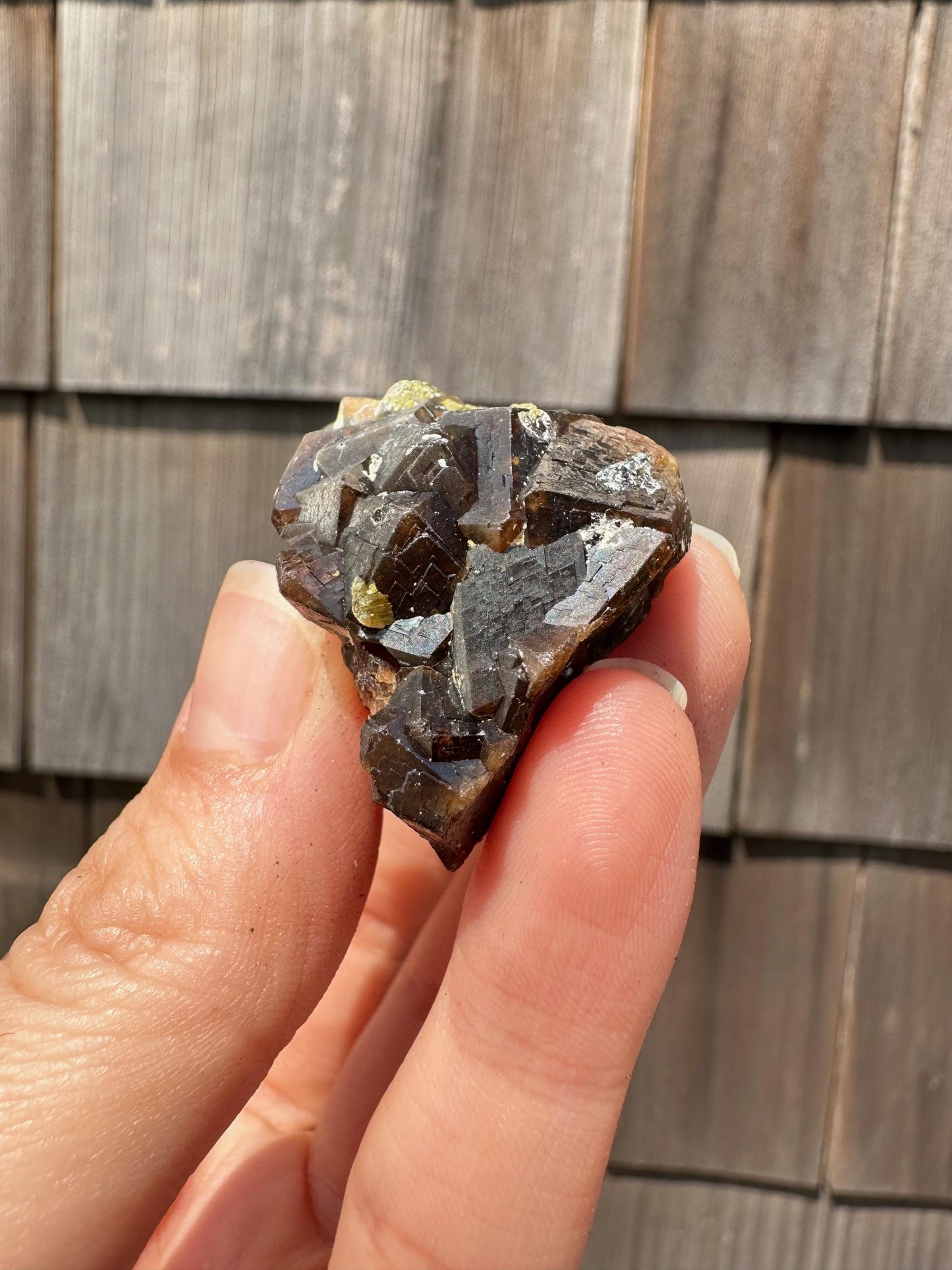Etched Garnet Cluster with Epidote from Pakistan