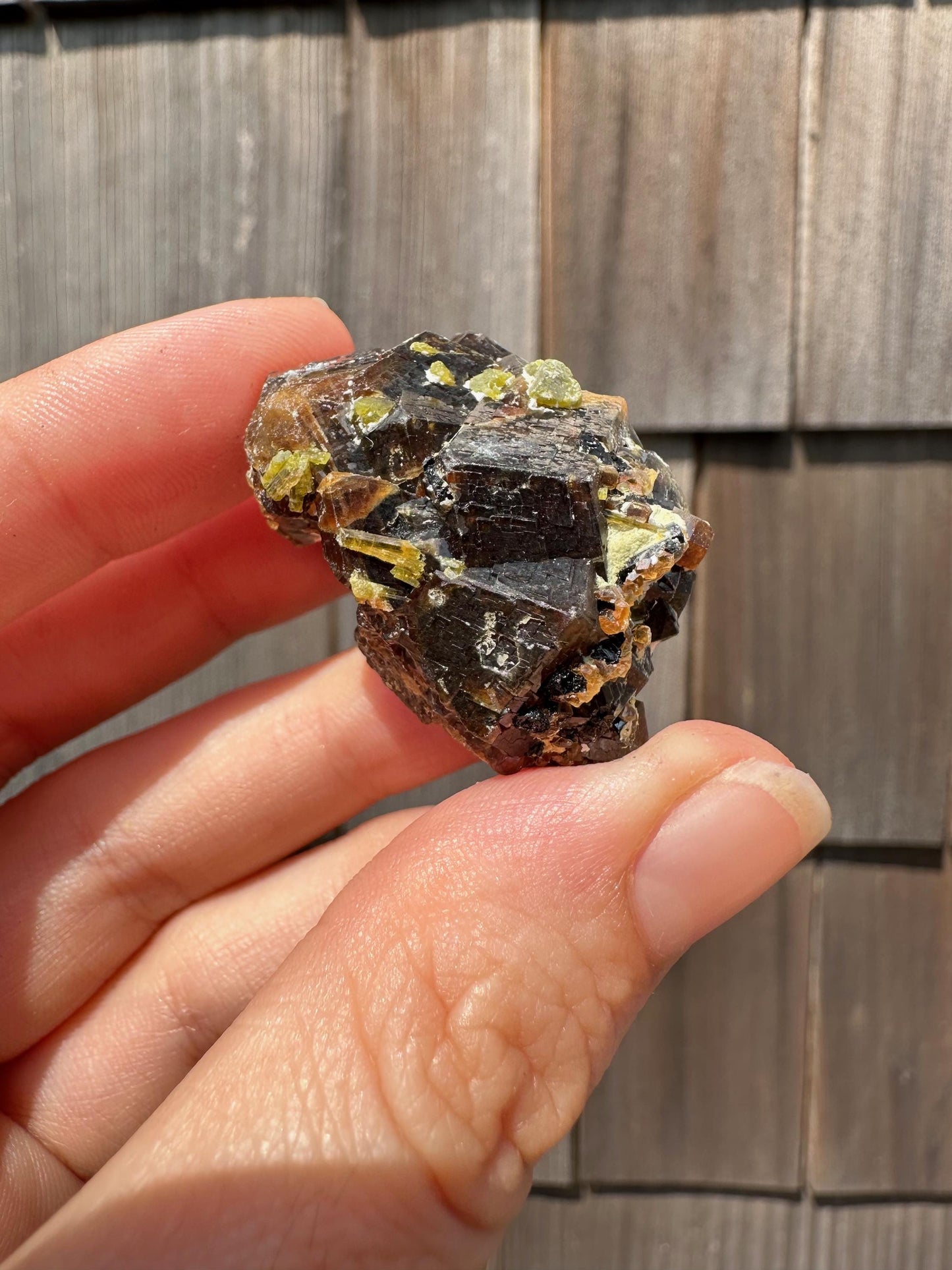 Etched Garnet Cluster with Epidote from Pakistan