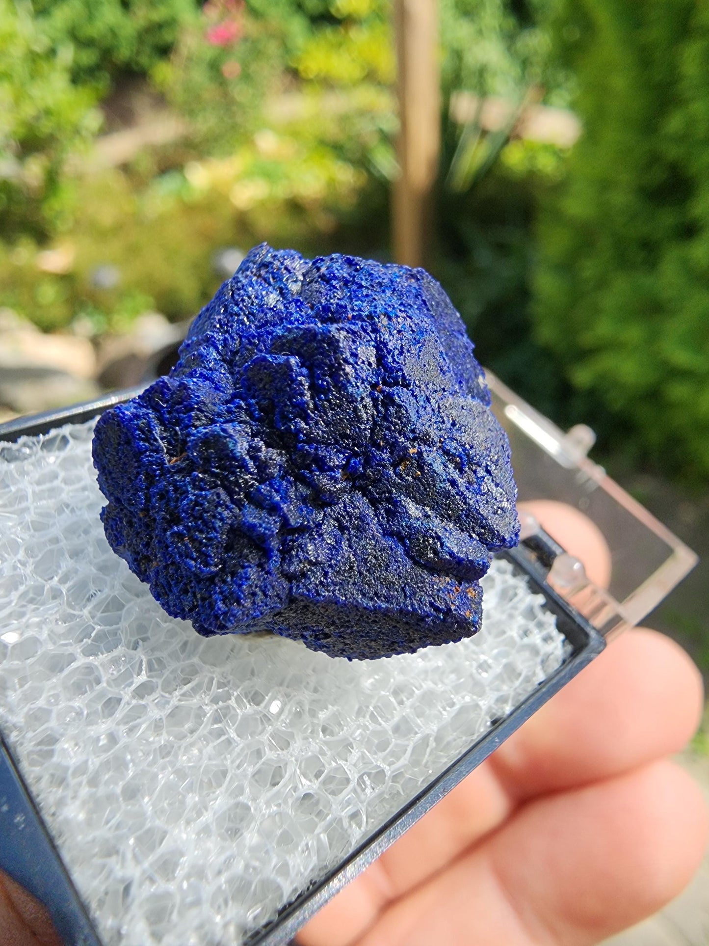 Azurite Rosette from Morenci, Arizona