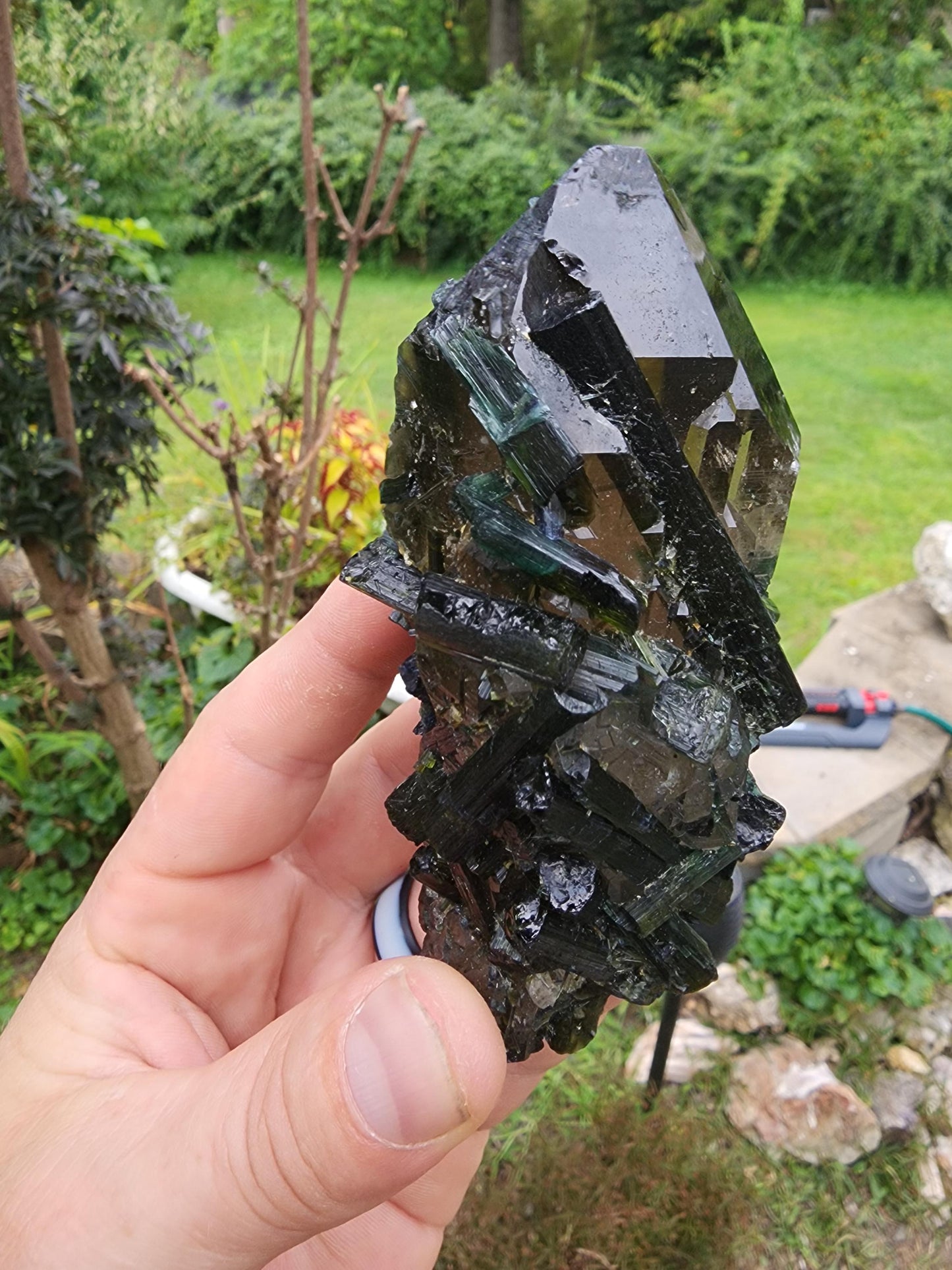 Large Bi-colored Tourmaline with a Smoky Quartz Point from Minas Gerais, Brazil