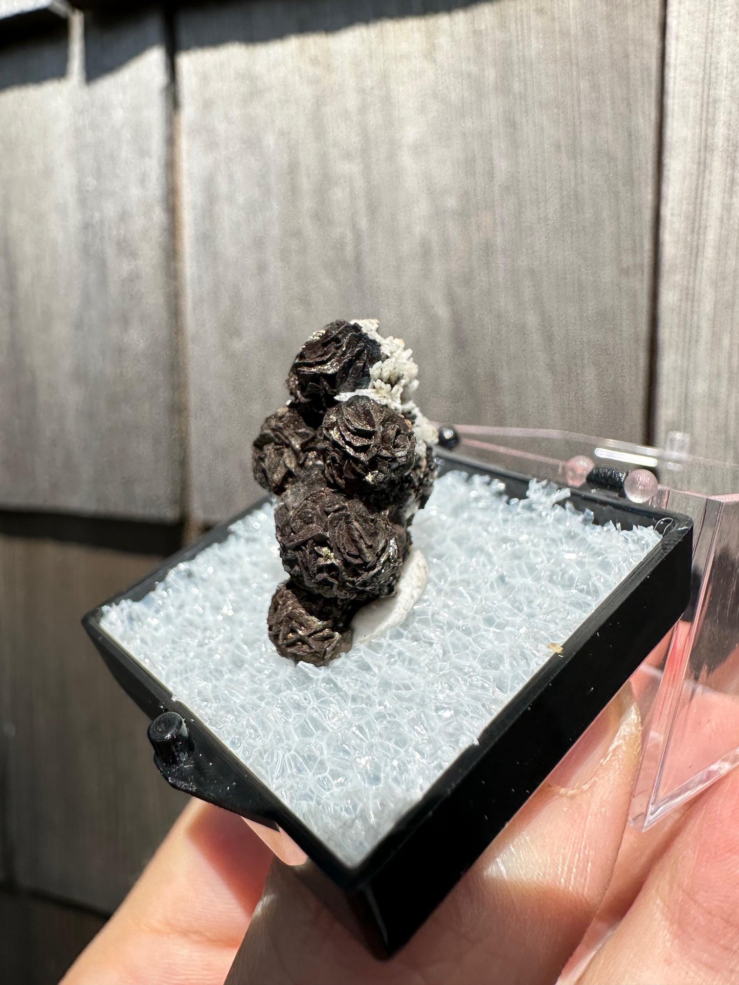 Iridescent Siderite from Potosi Mine, Mexico