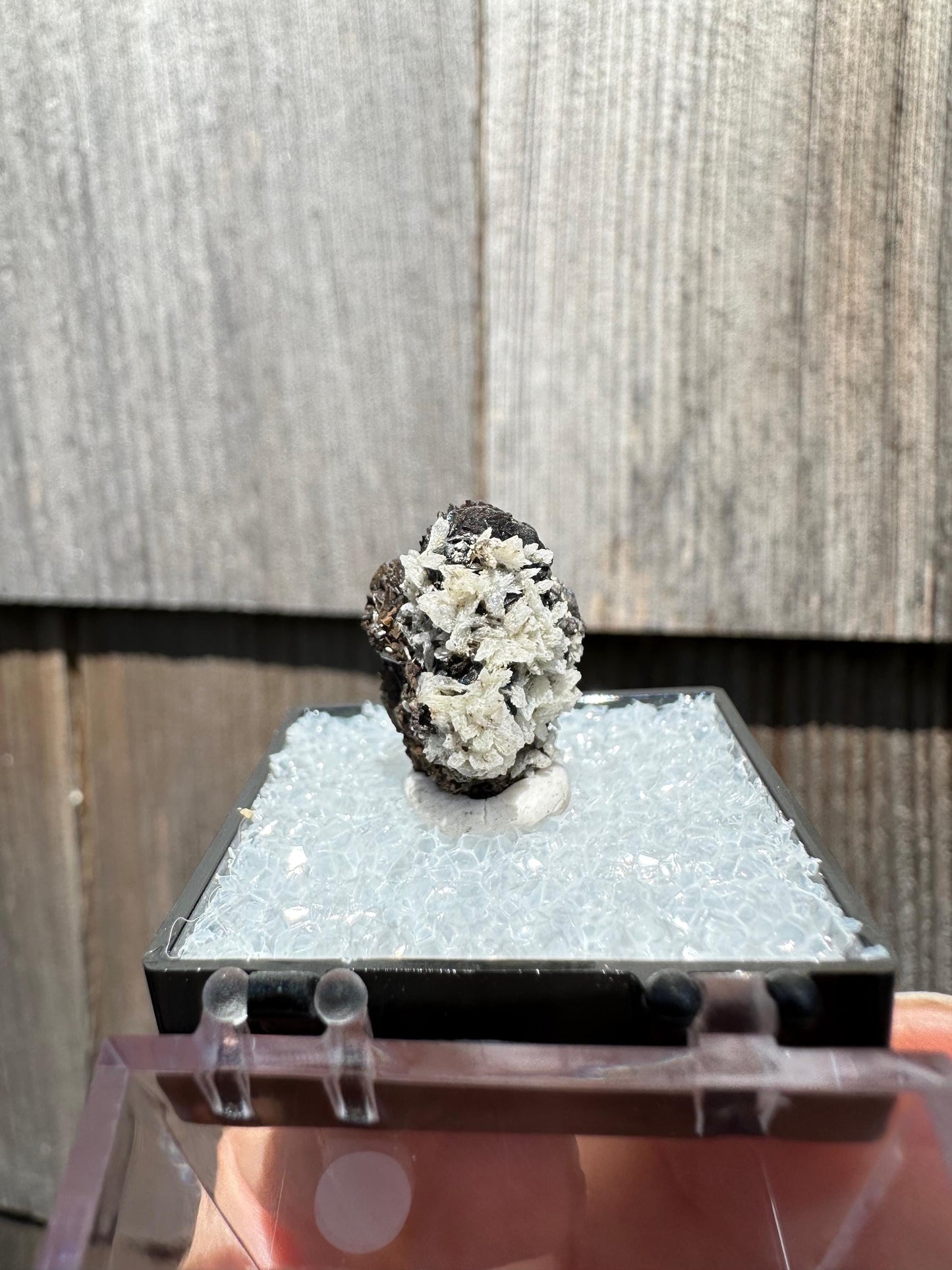 Iridescent Siderite from Potosi Mine, Mexico