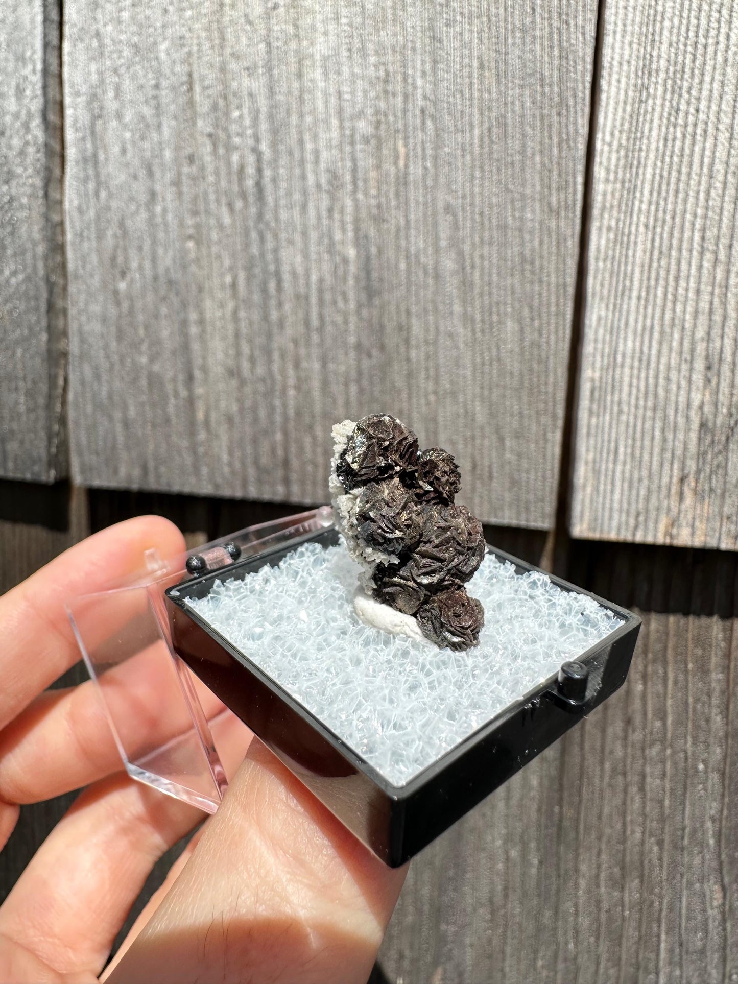 Iridescent Siderite from Potosi Mine, Mexico