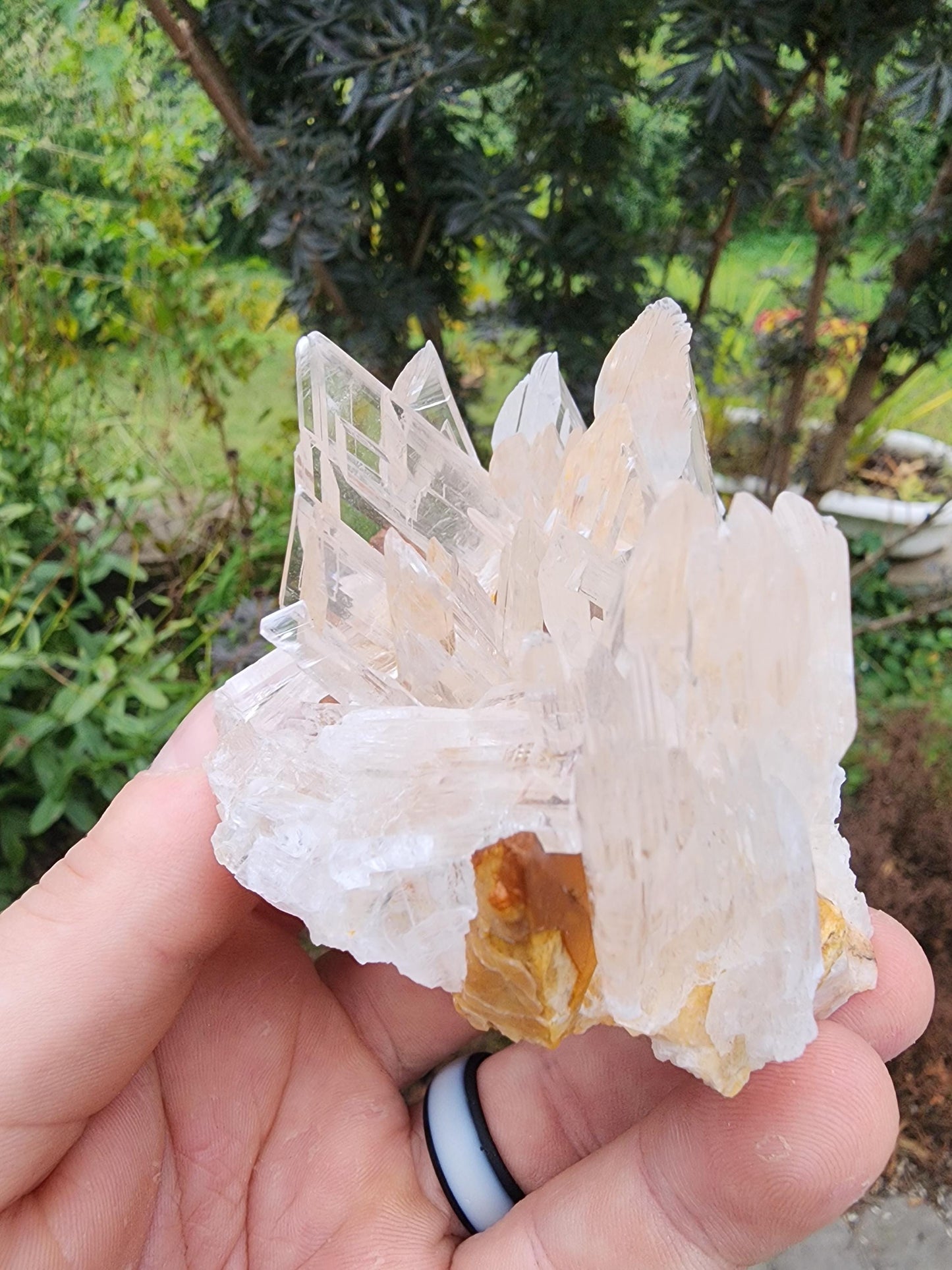 Selenite Crystal Cluster from Guizhou, China