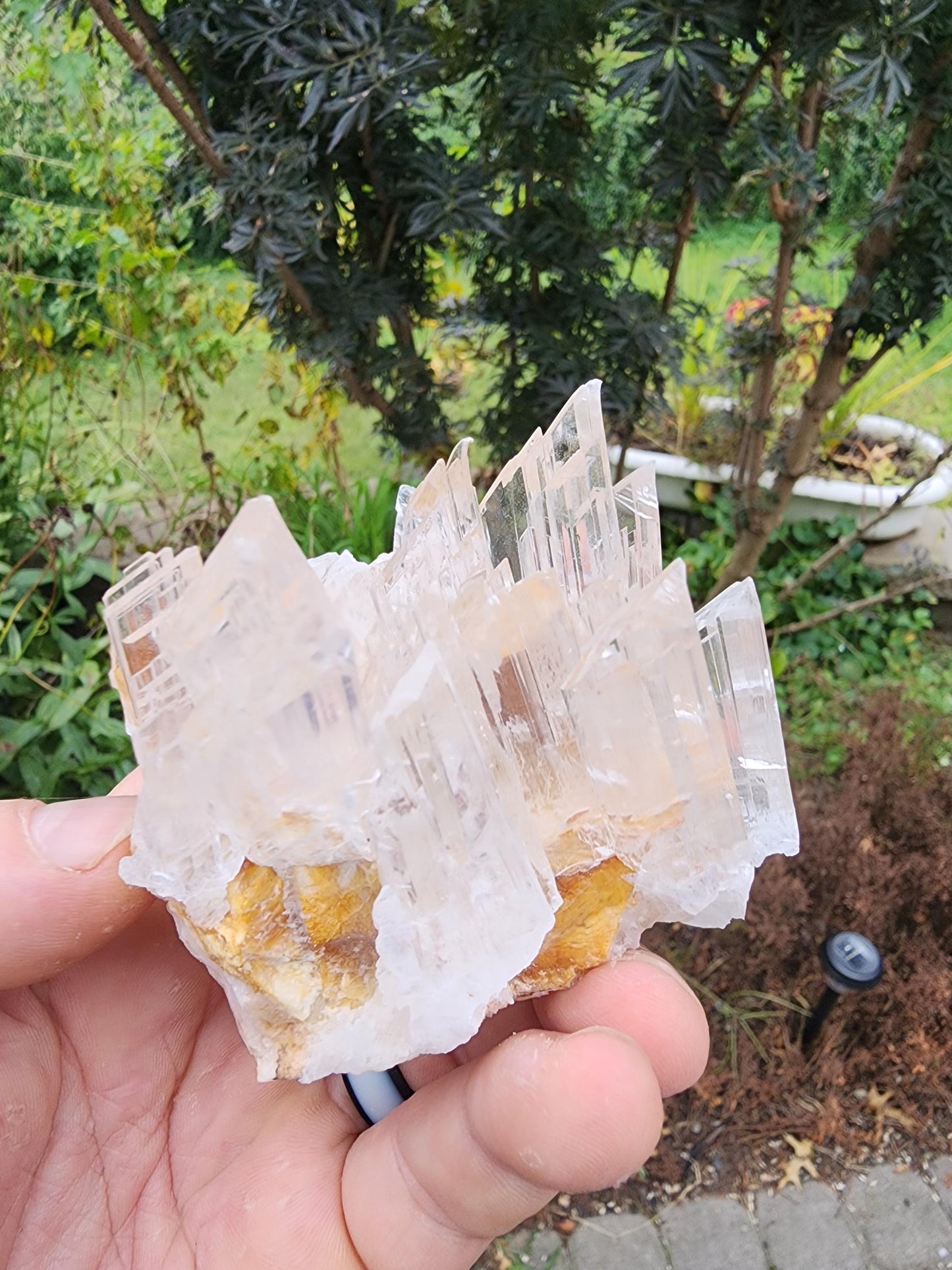 Selenite Crystal Cluster from Guizhou, China