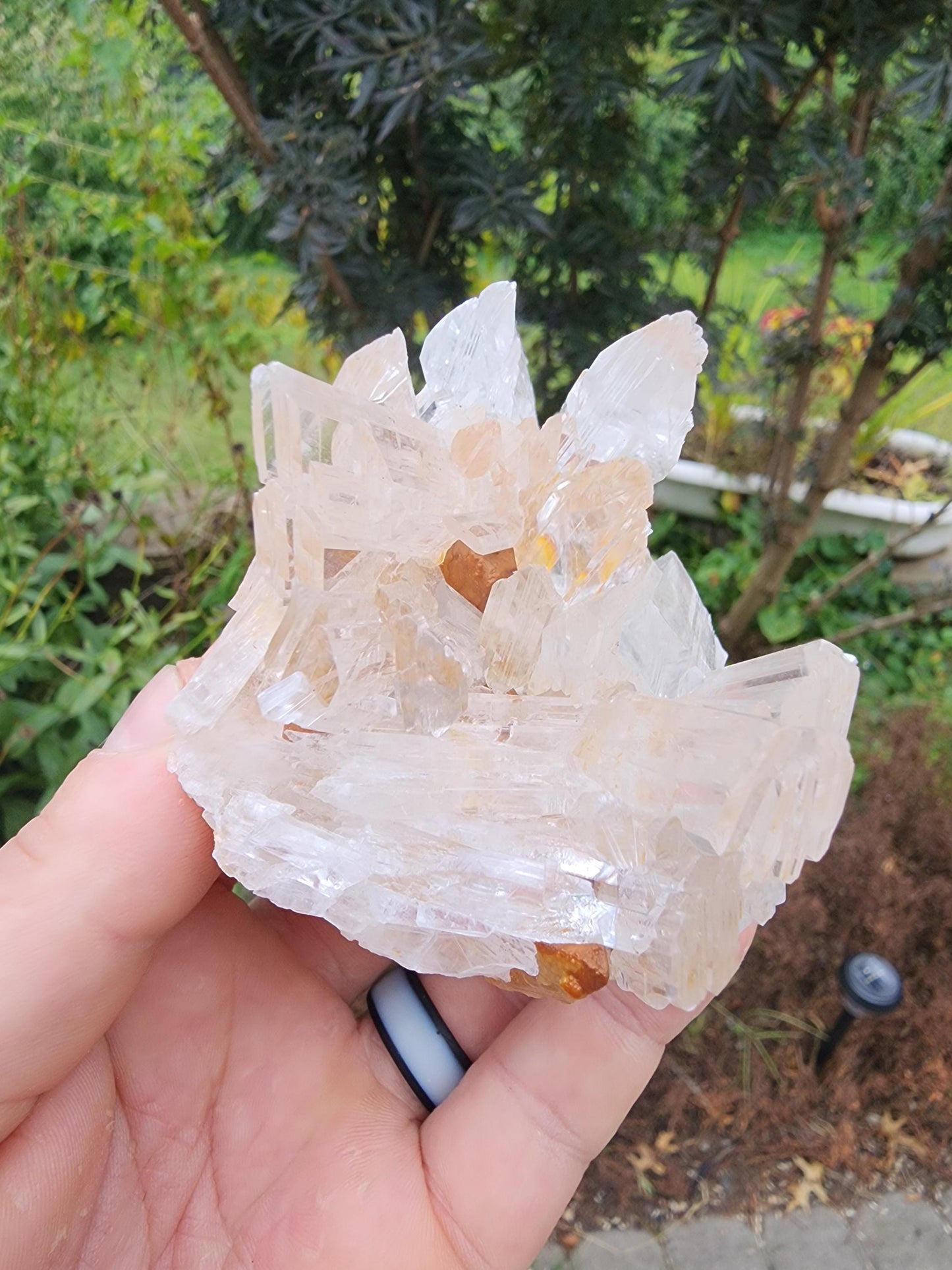 Selenite Crystal Cluster from Guizhou, China