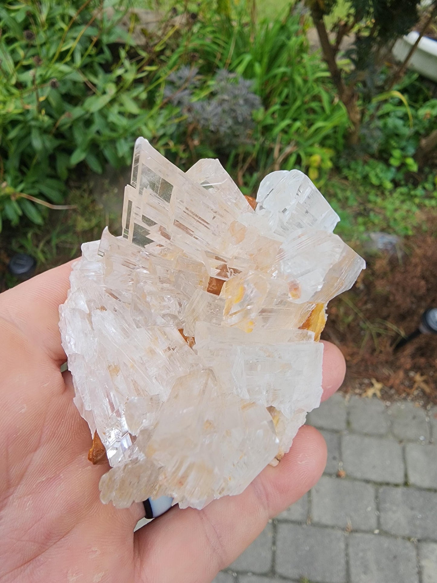 Selenite Crystal Cluster from Guizhou, China