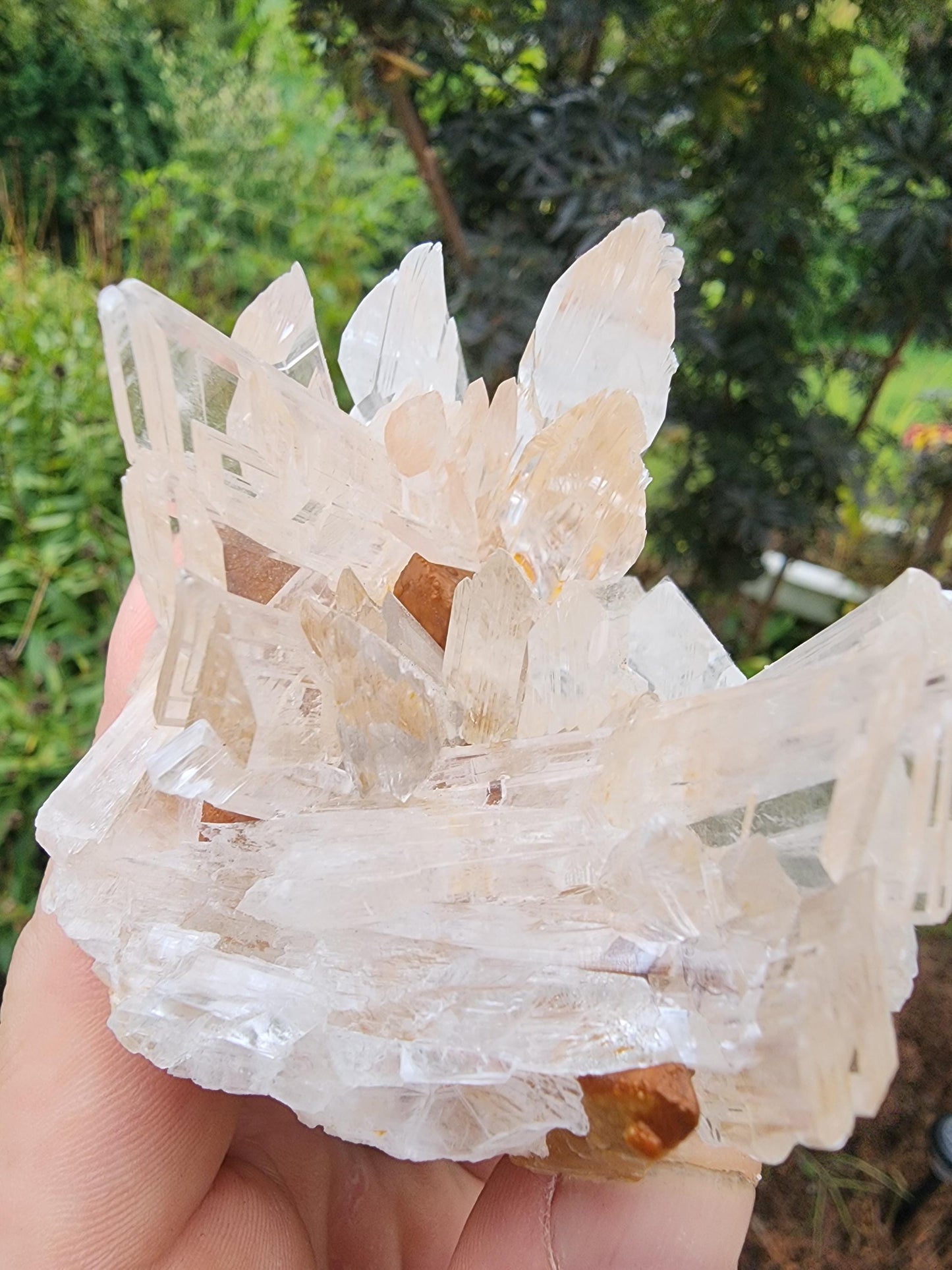 Selenite Crystal Cluster from Guizhou, China