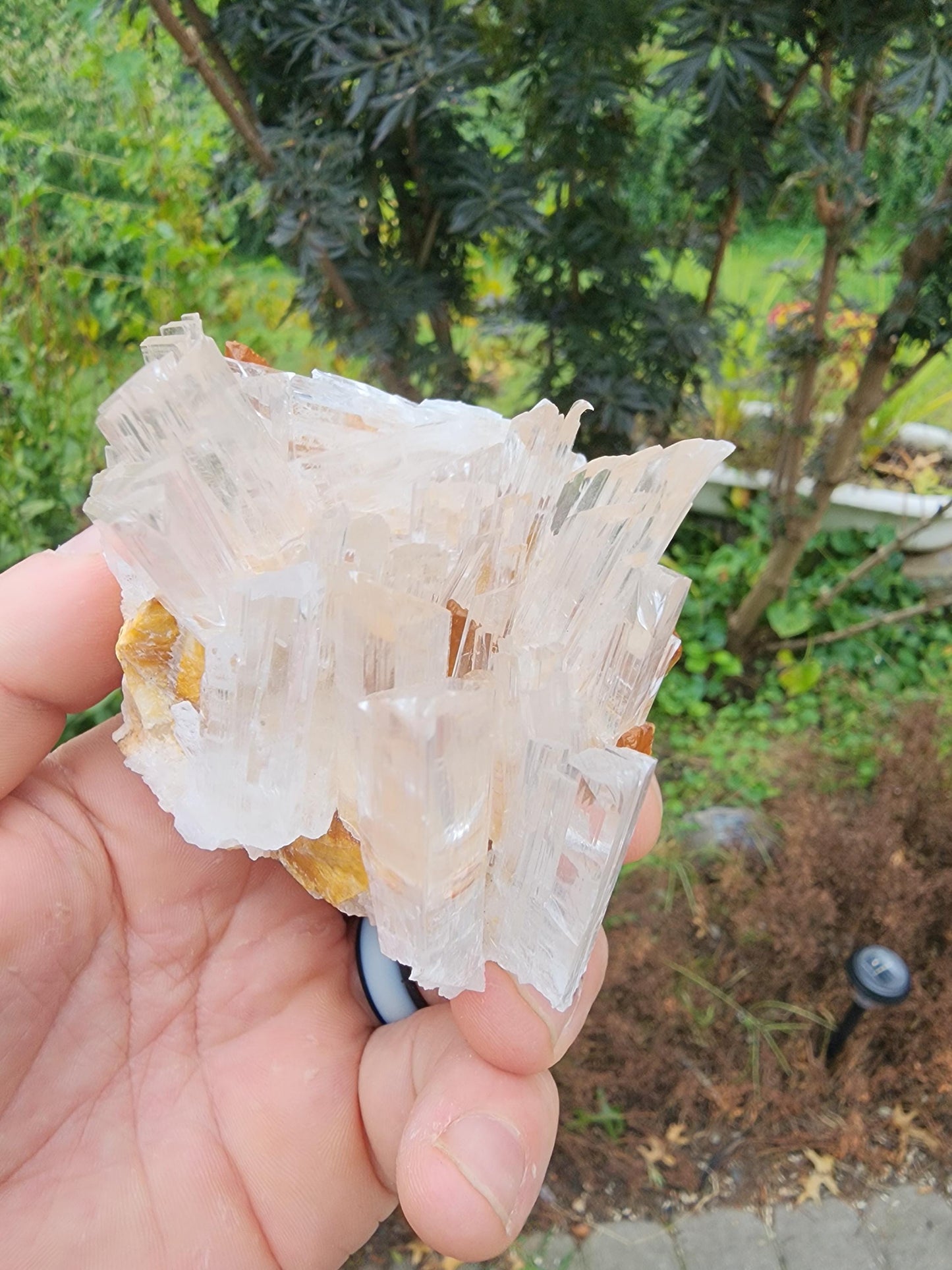 Selenite Crystal Cluster from Guizhou, China