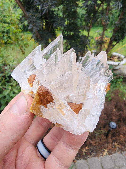 Selenite Crystal Cluster from Guizhou, China