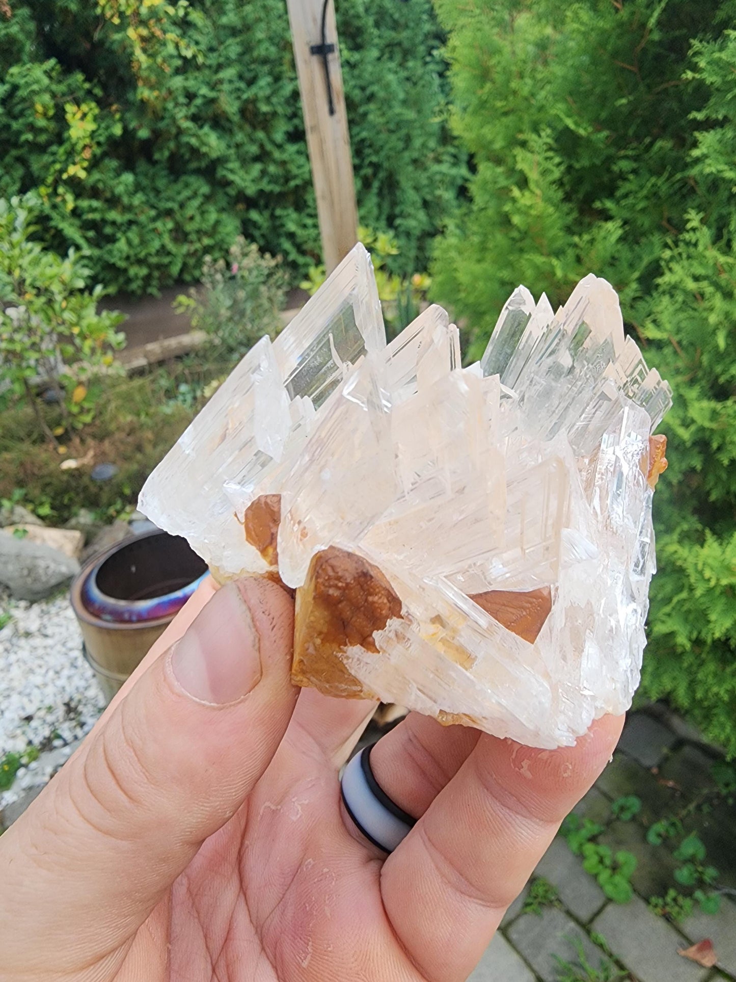 Selenite Crystal Cluster from Guizhou, China