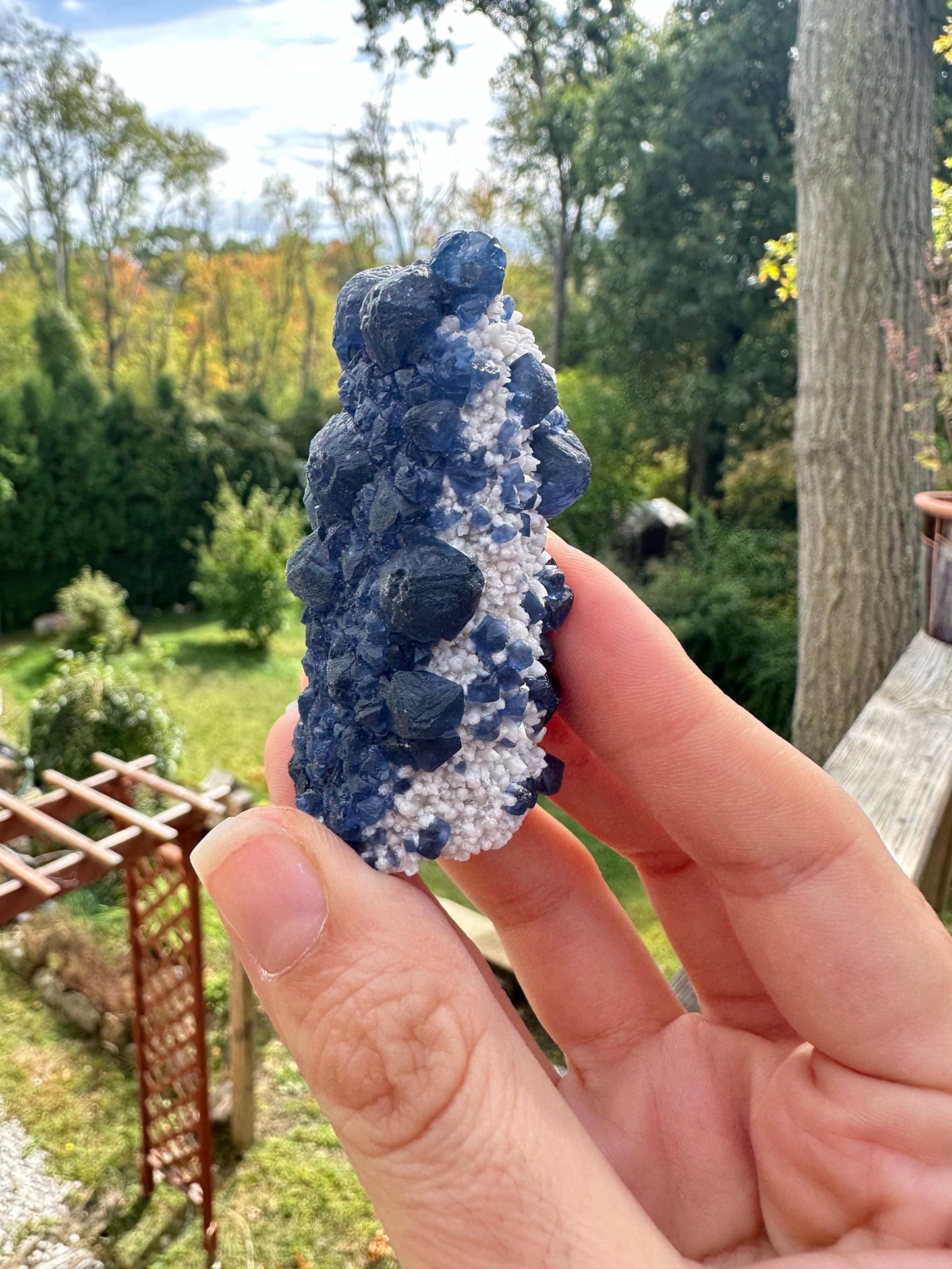 Blueberry Fluorite on Cactus Quartz from Huanggangliang, Inner Mongolia, China