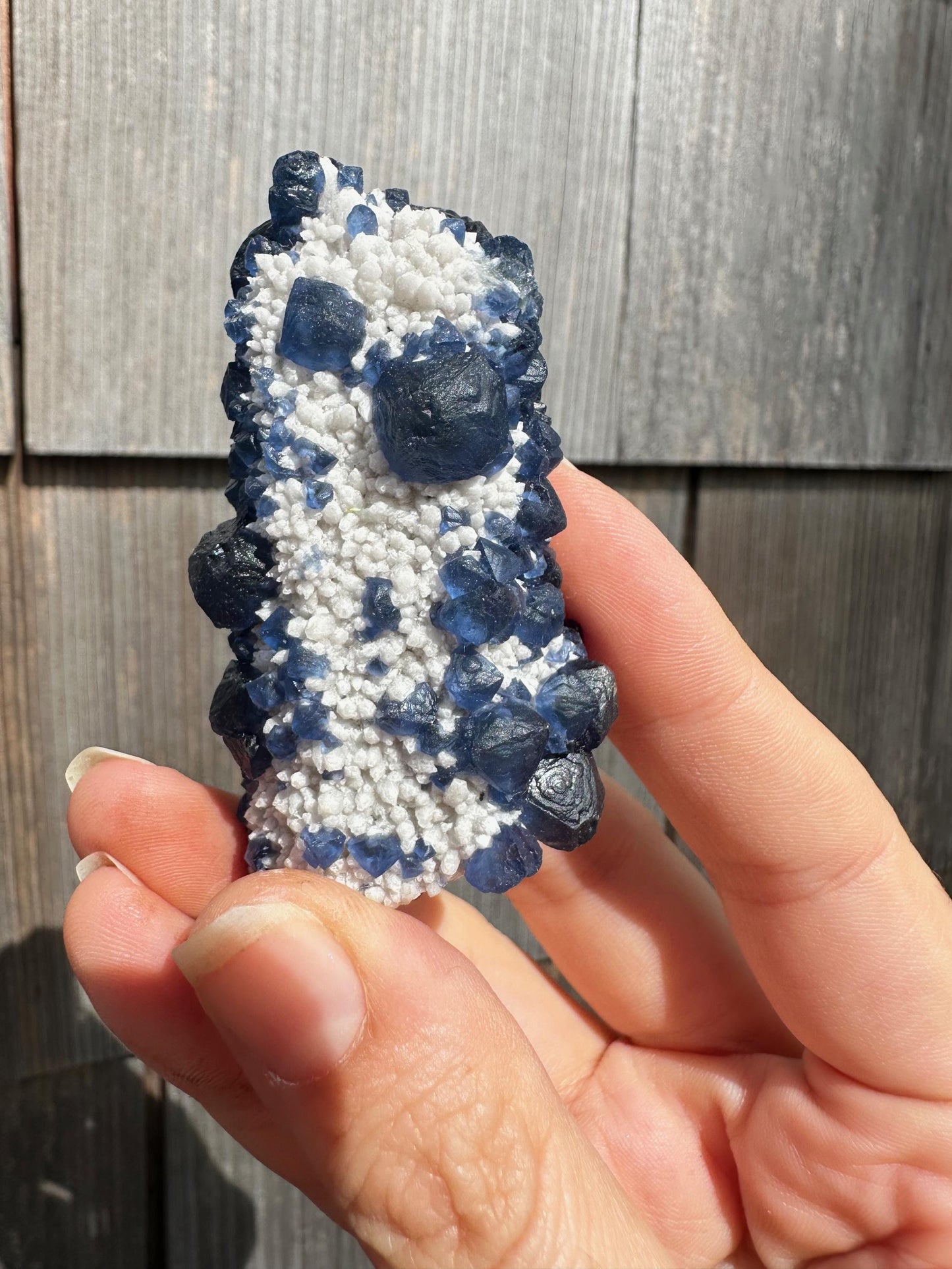 Blueberry Fluorite on Cactus Quartz from Huanggangliang, Inner Mongolia, China