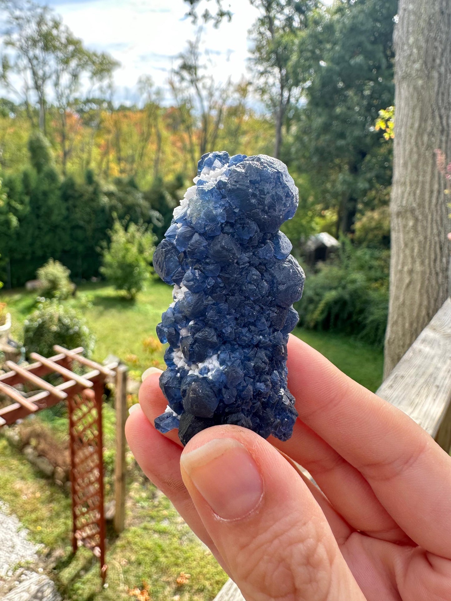 Blueberry Fluorite on Cactus Quartz from Huanggangliang, Inner Mongolia, China
