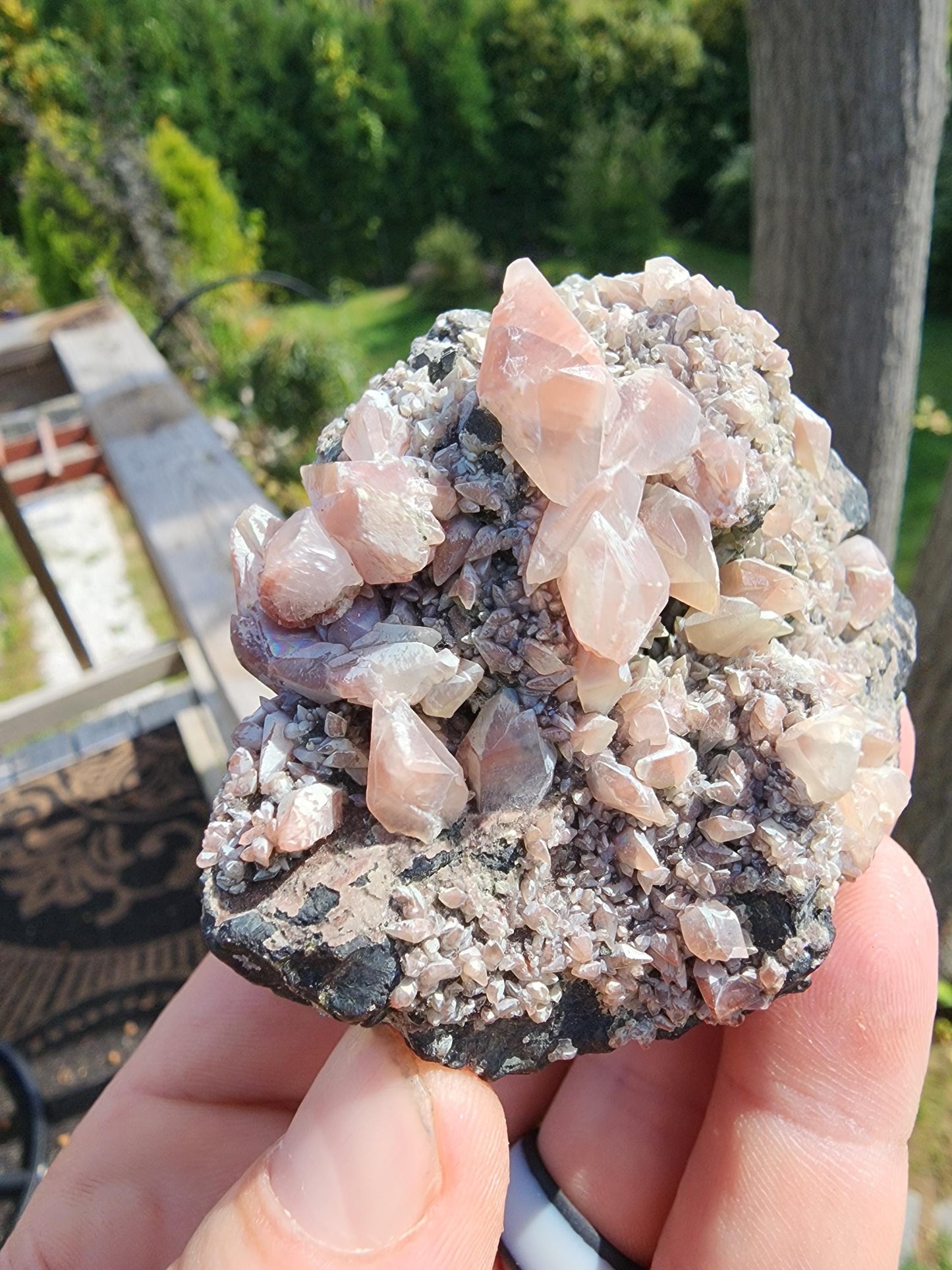 Calcite with Red Hematite on Galena from Mexico