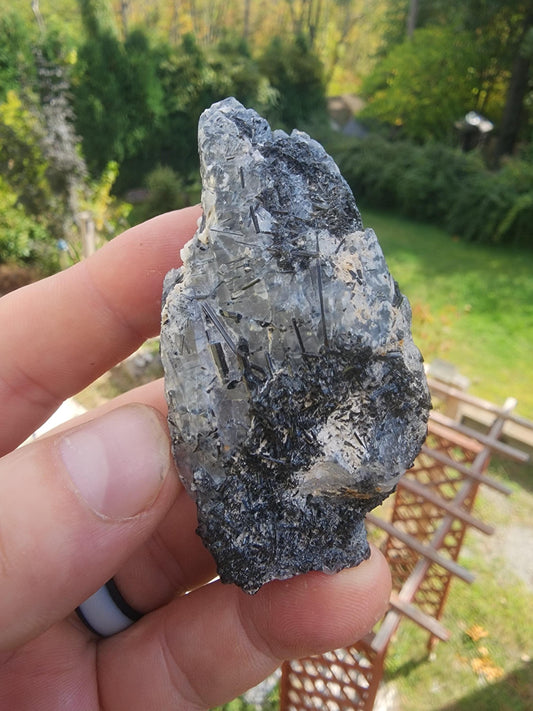Tourmaline var. Schorl with Quartz Point